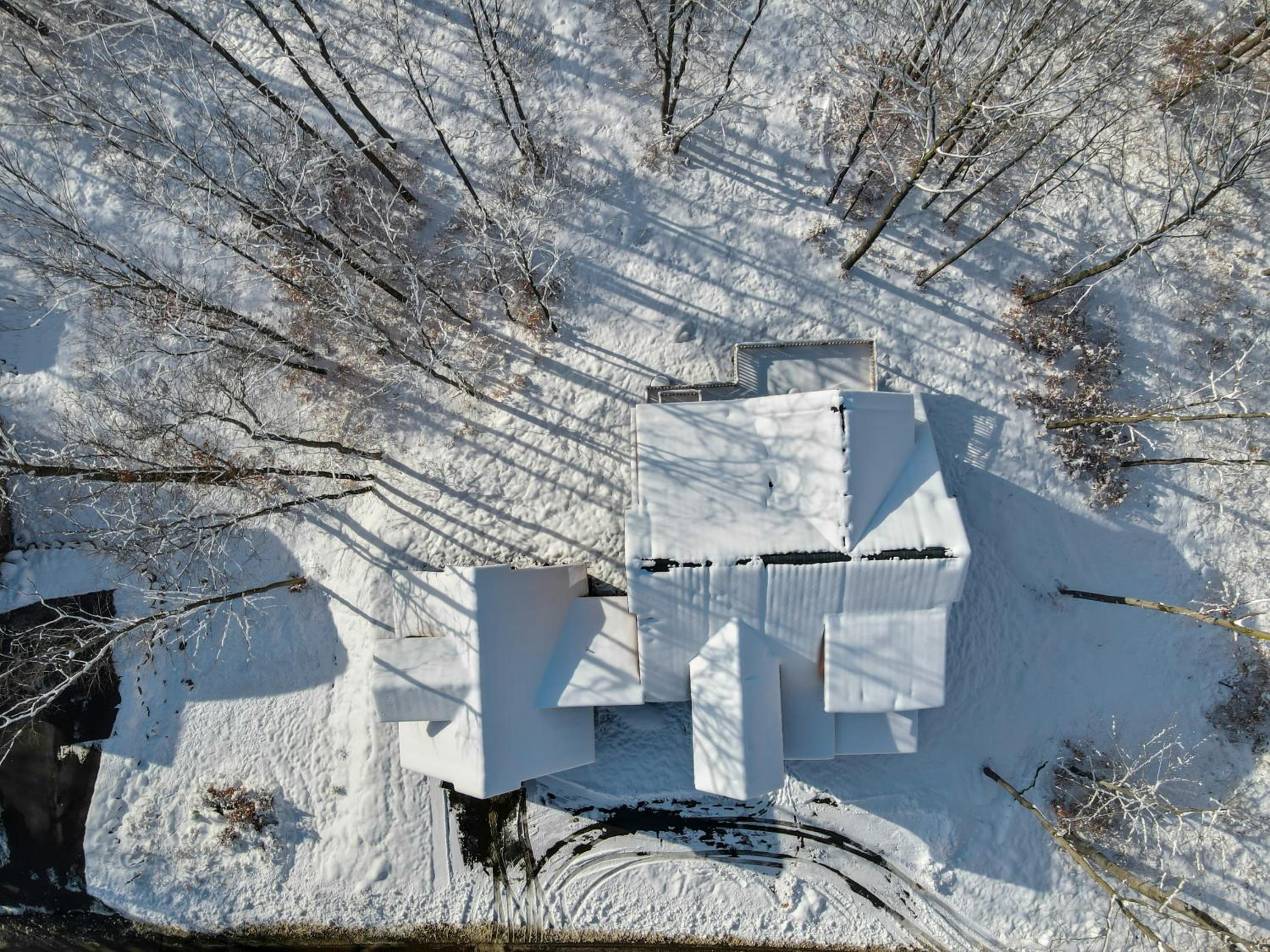 Photo 45