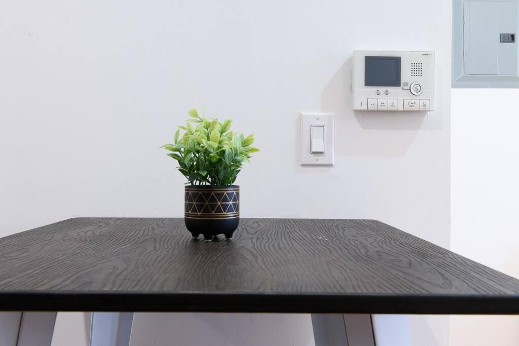24-17 Renovated Studio Prime Location WD