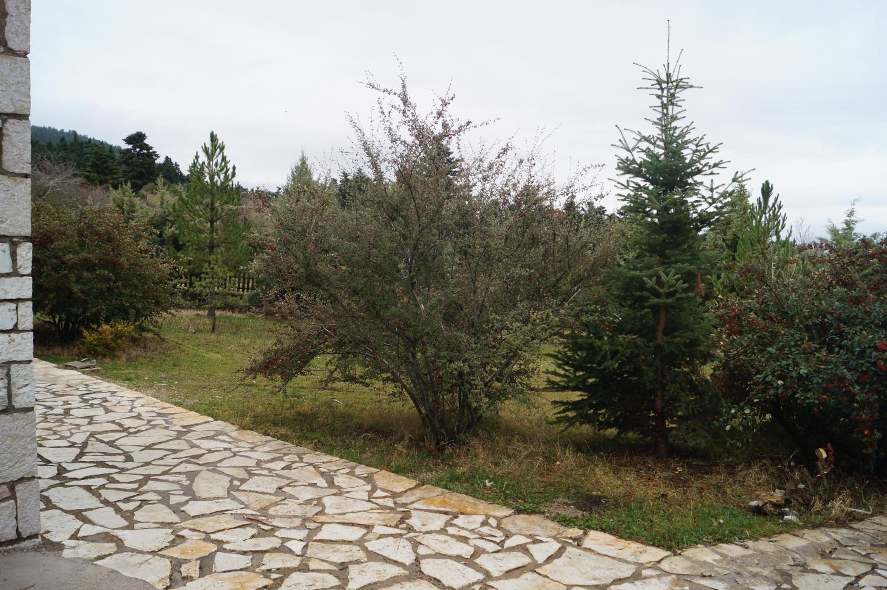 Parnassos Chalets