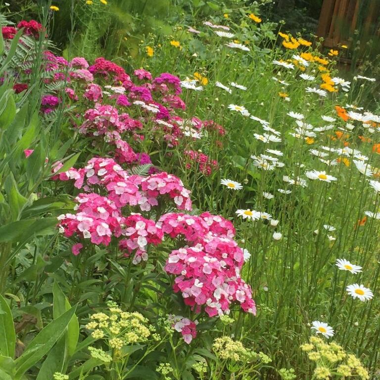 Cozy ,artistic cottage in a garden setting close to the beach and hiking trails.