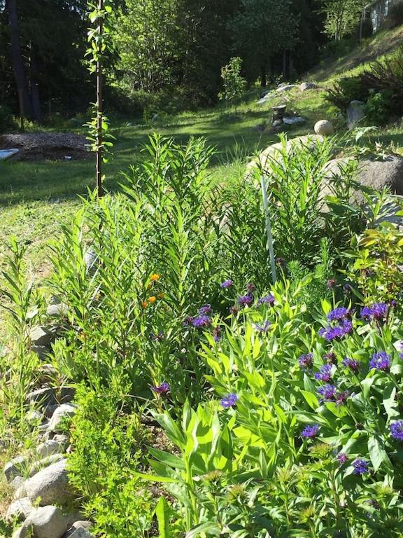 Cozy ,artistic cottage in a garden setting close to the beach and hiking trails.