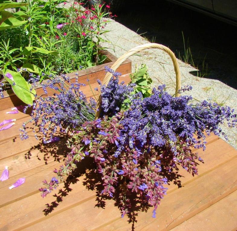 Cozy ,artistic cottage in a garden setting close to the beach and hiking trails.