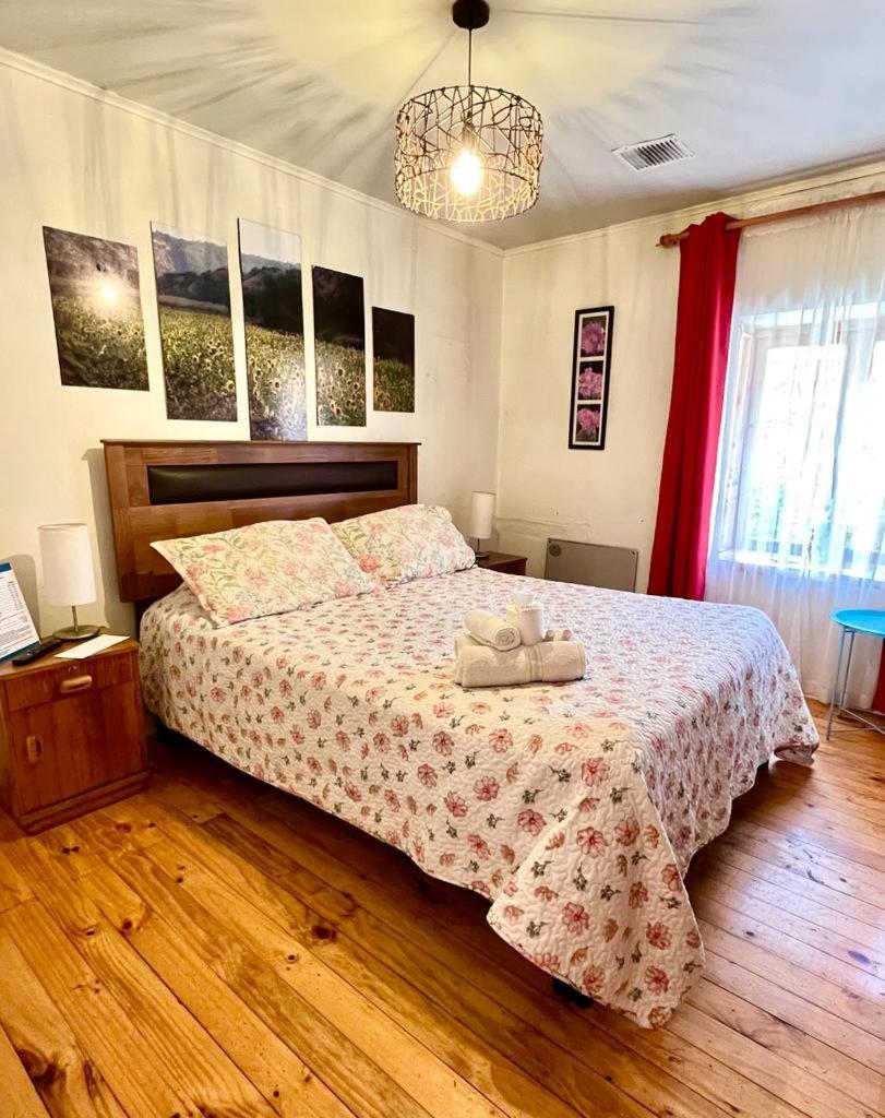 Hostel Moreno