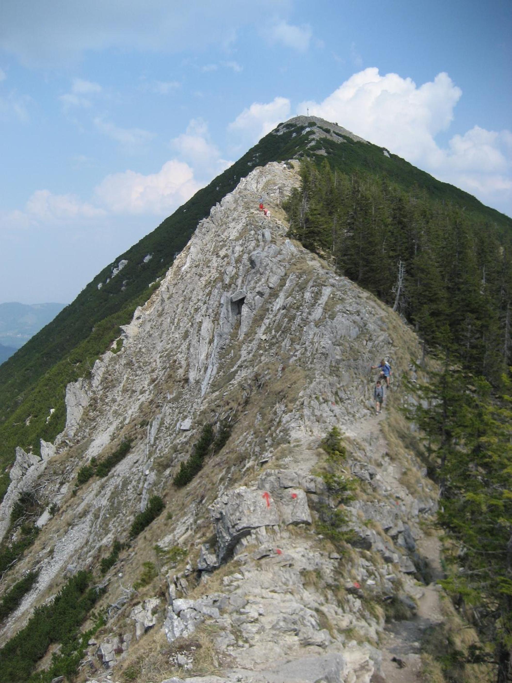 BLSV Sportcamp direkt am Kurvenlift!