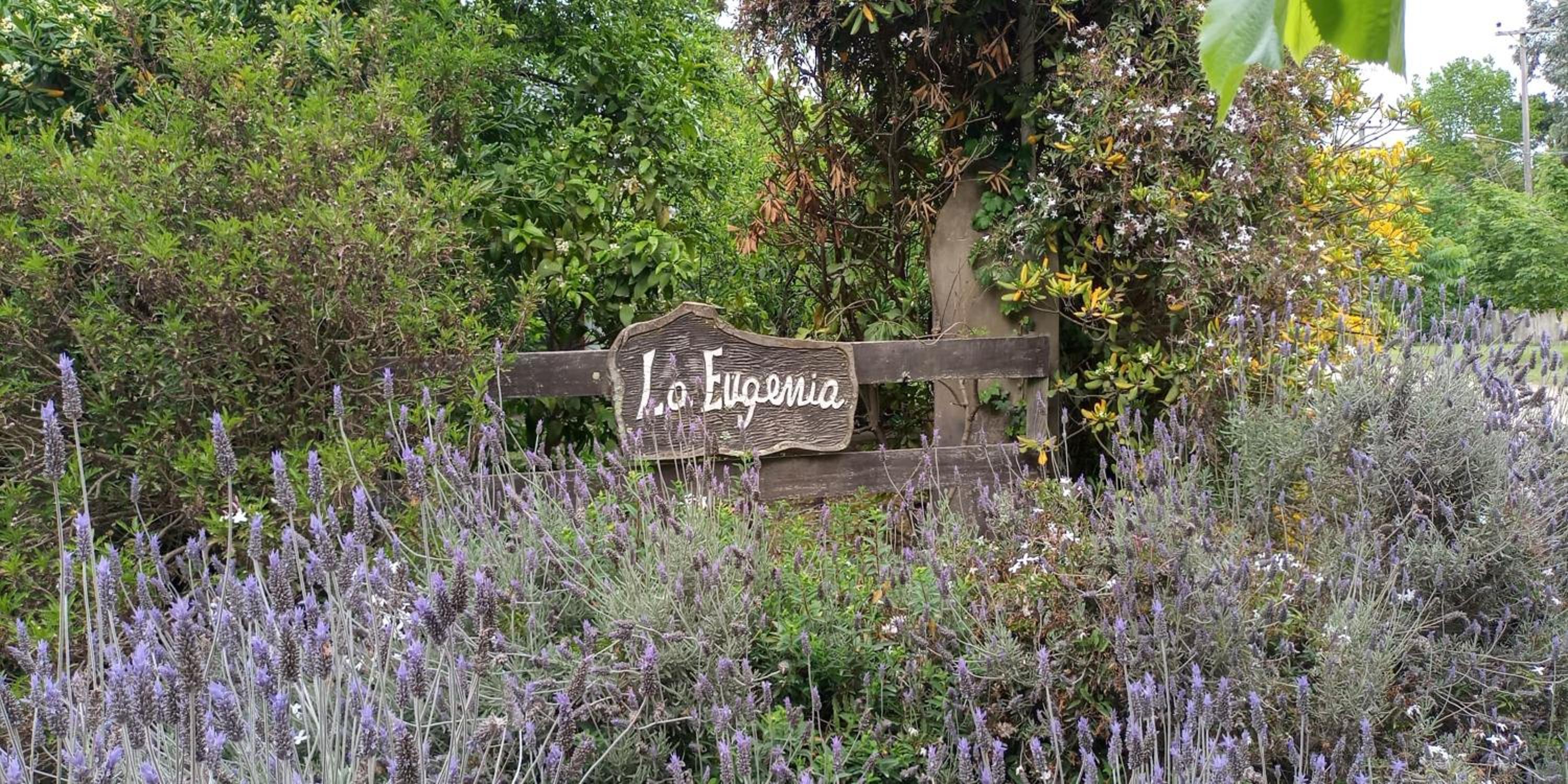 La Eugenia
