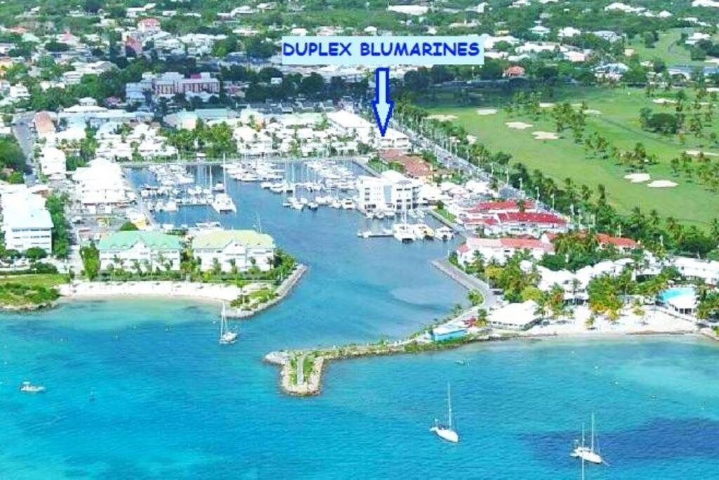 Le Blumarines