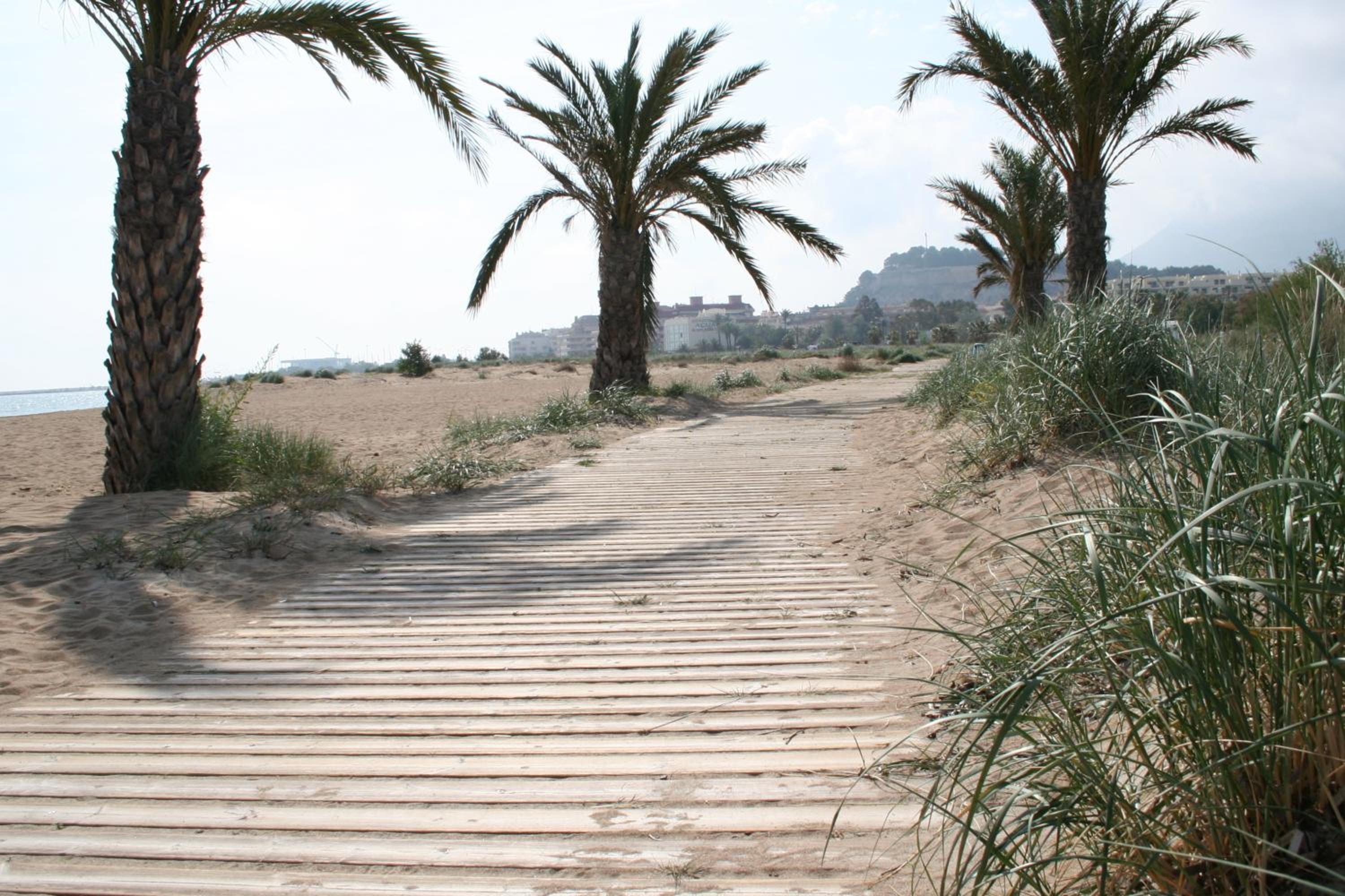 Photo 30