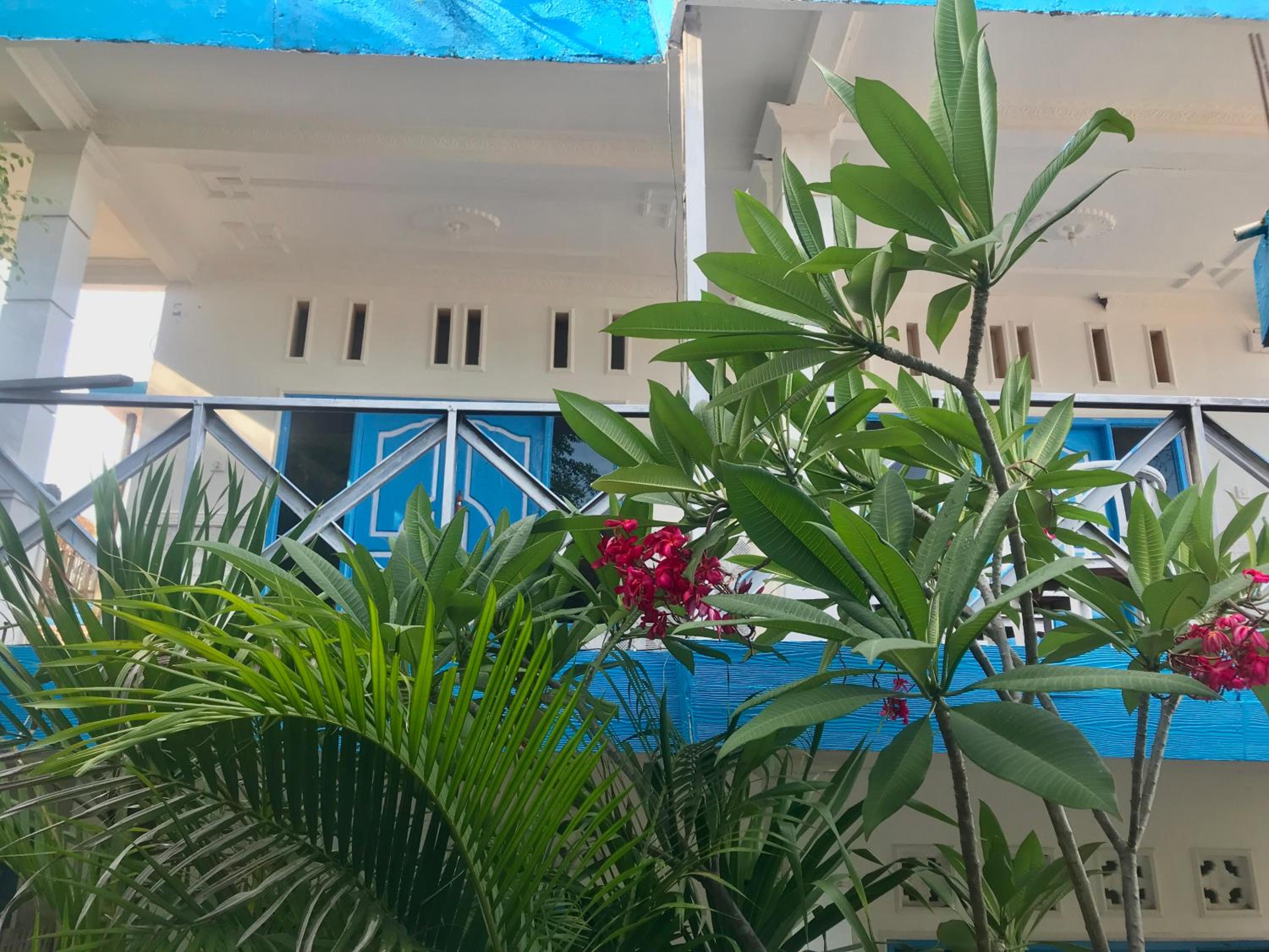 The House Hostel view 4