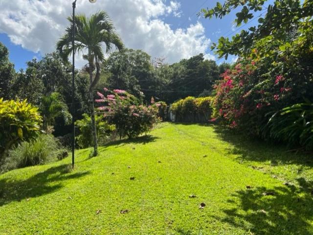 Teresinajamaica