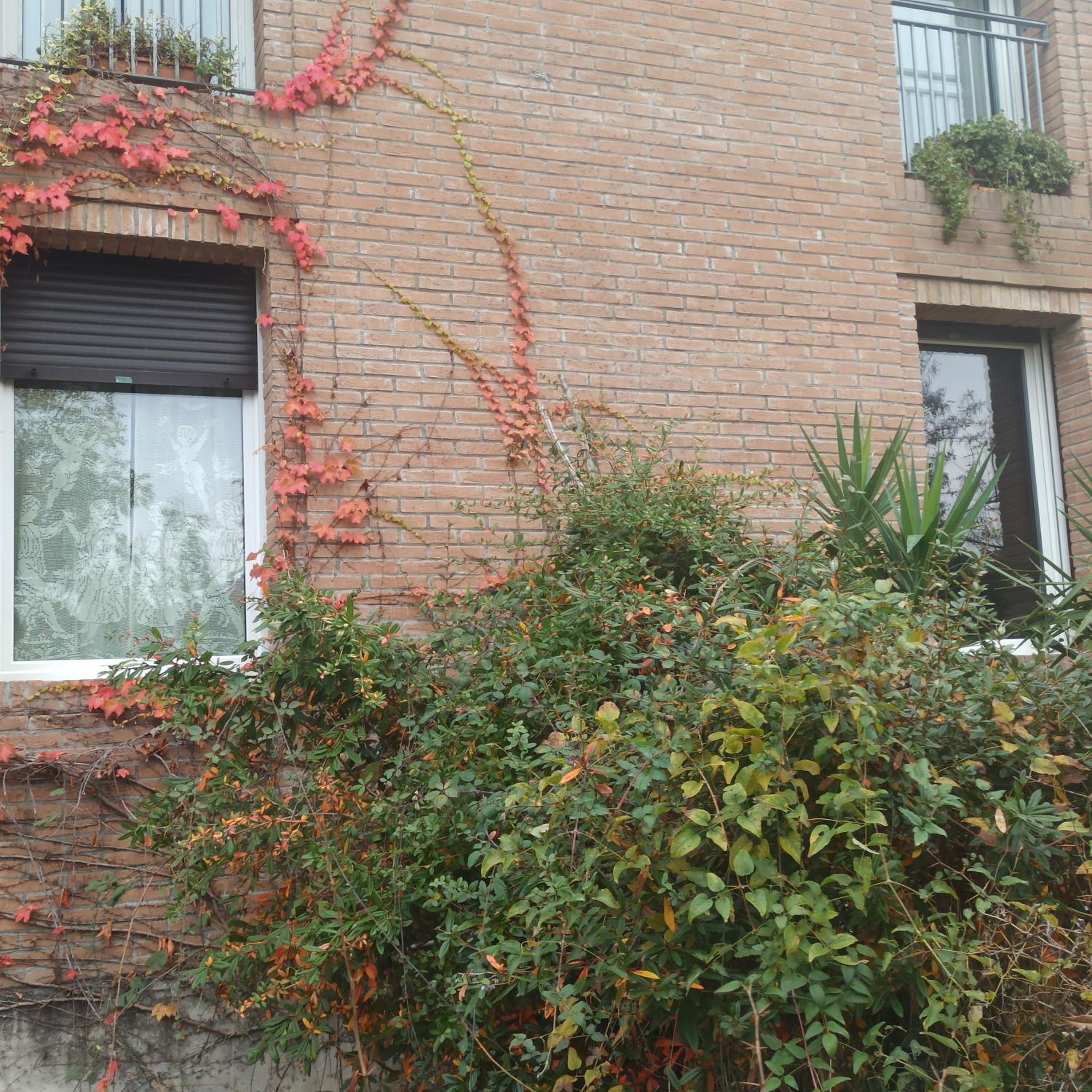Photo 47