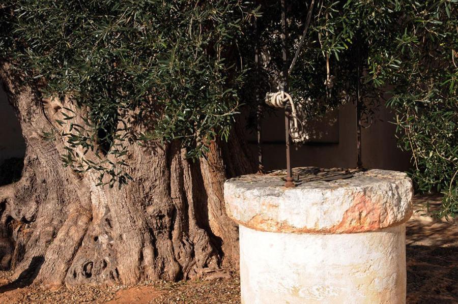 Masseria Torre Del Diamante
