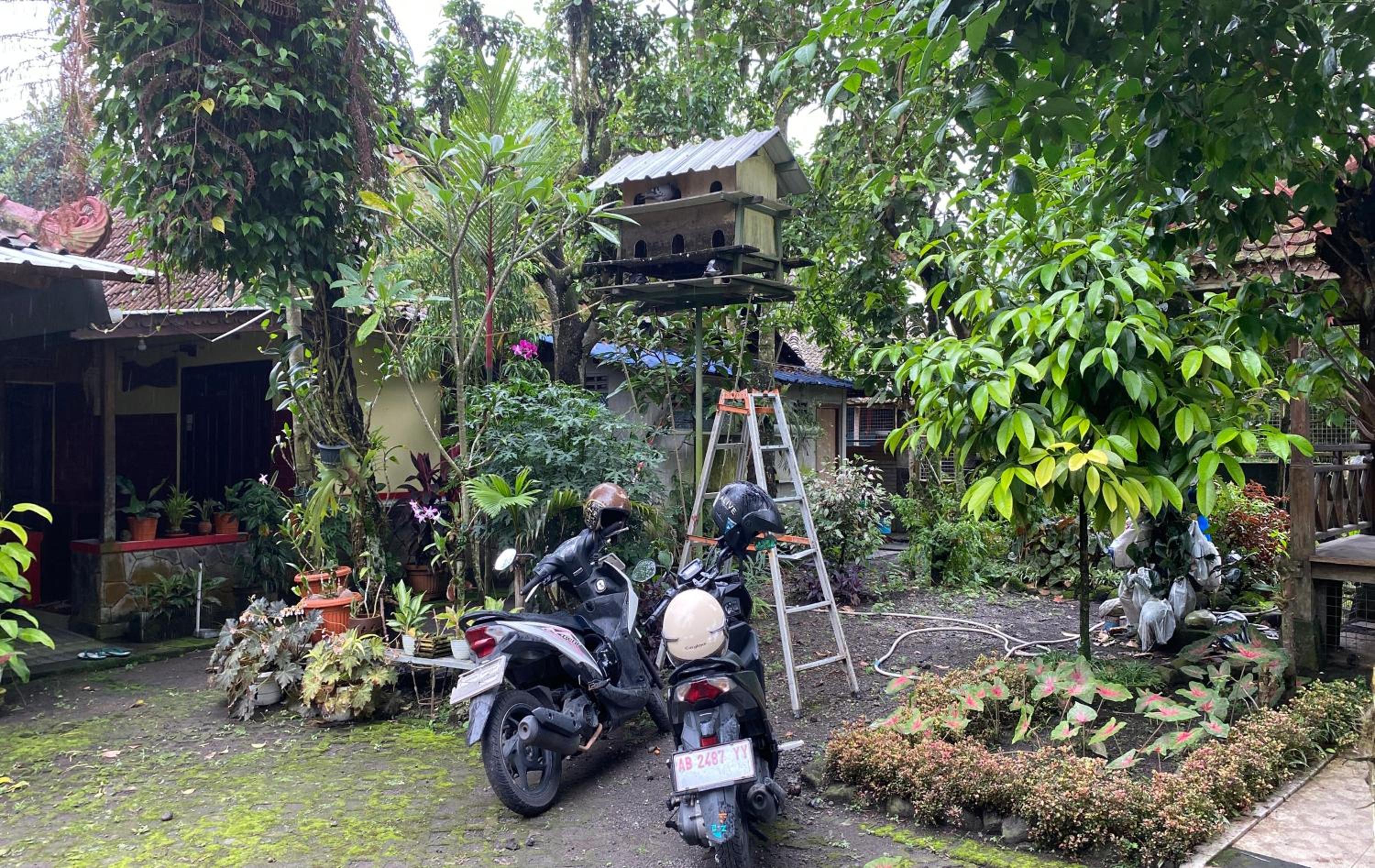 Sopo Guesthouse