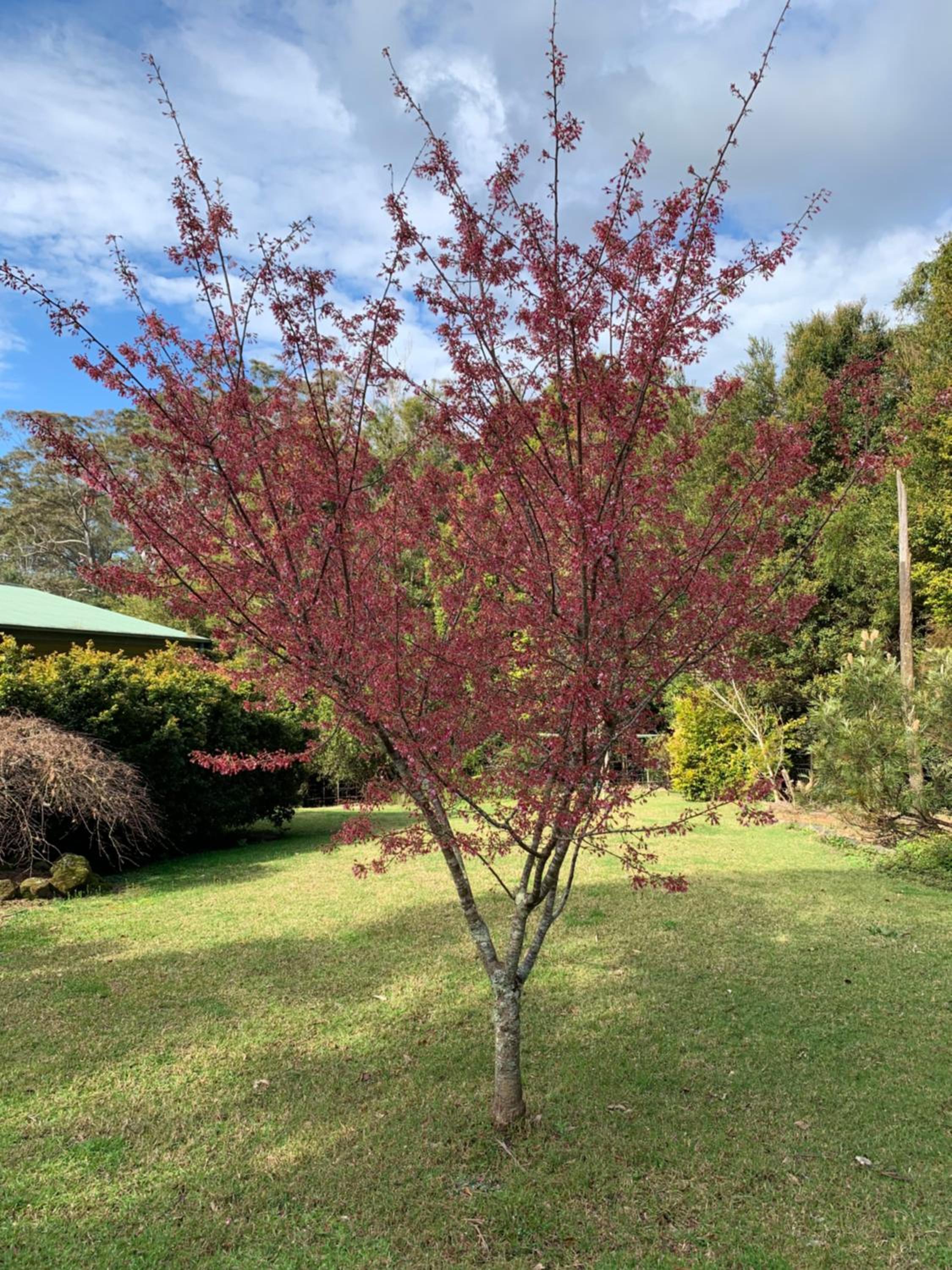 Grandma's Farm Cottage