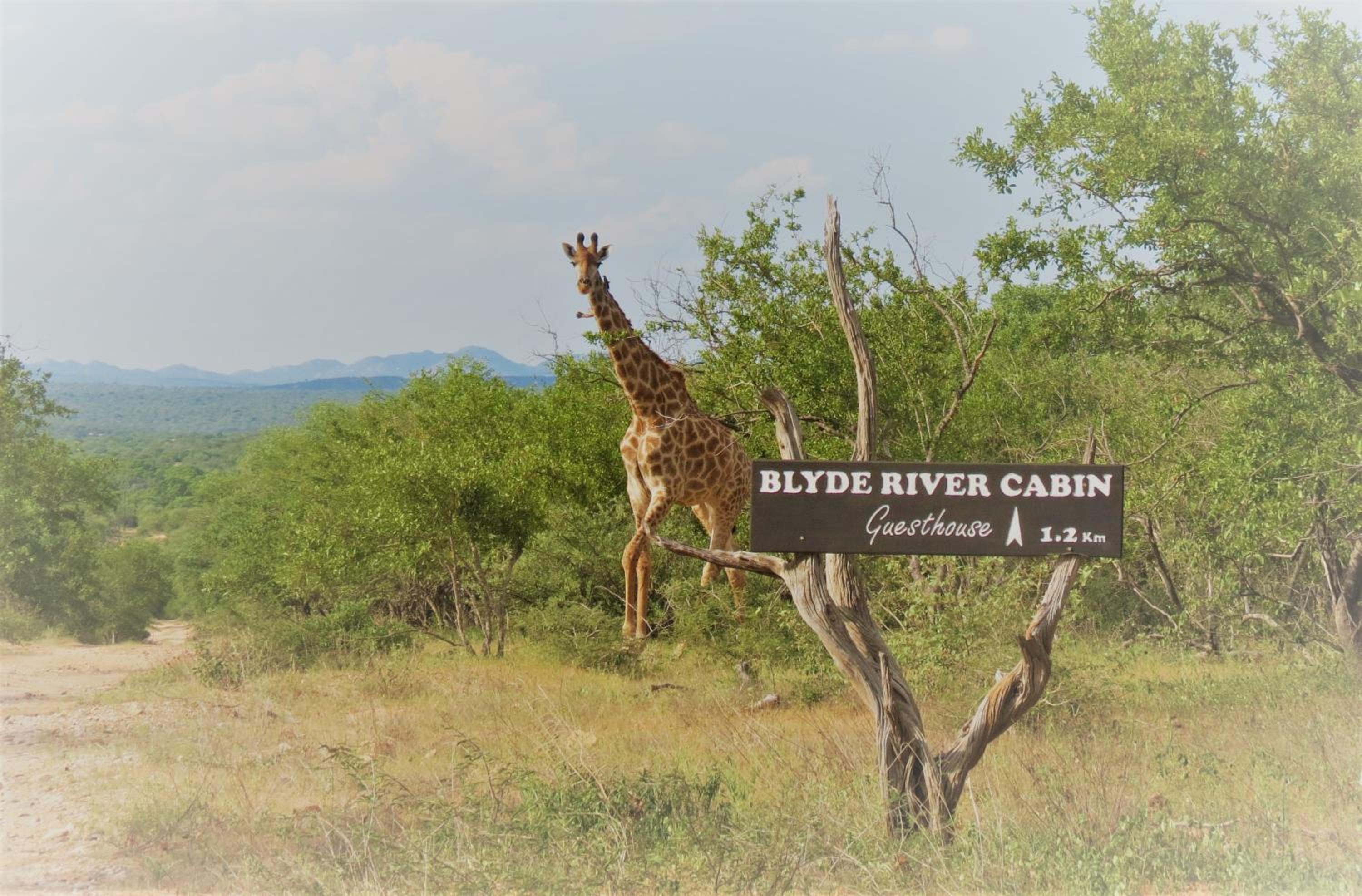 Blyde River Cabins