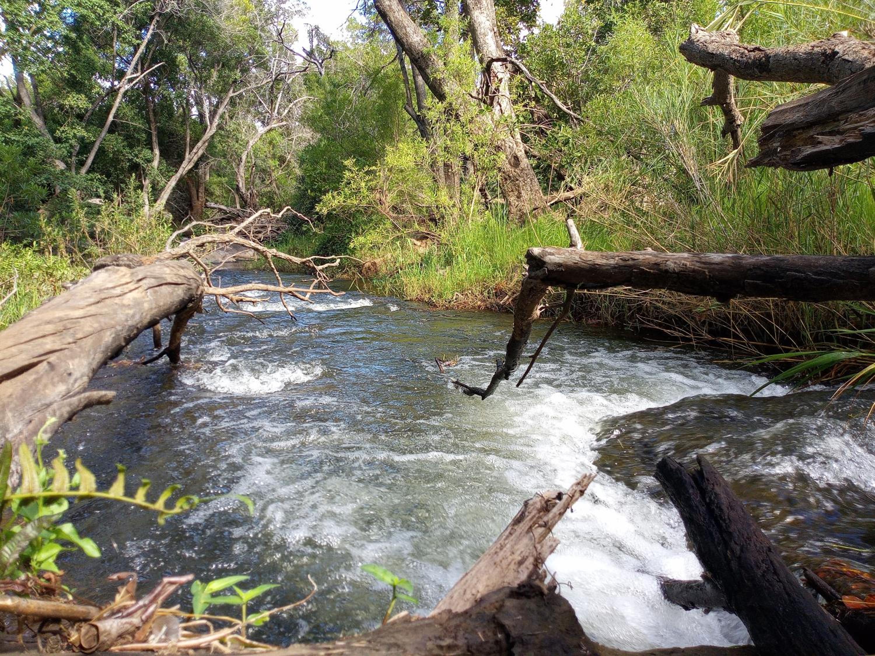 Blyde River Cabins