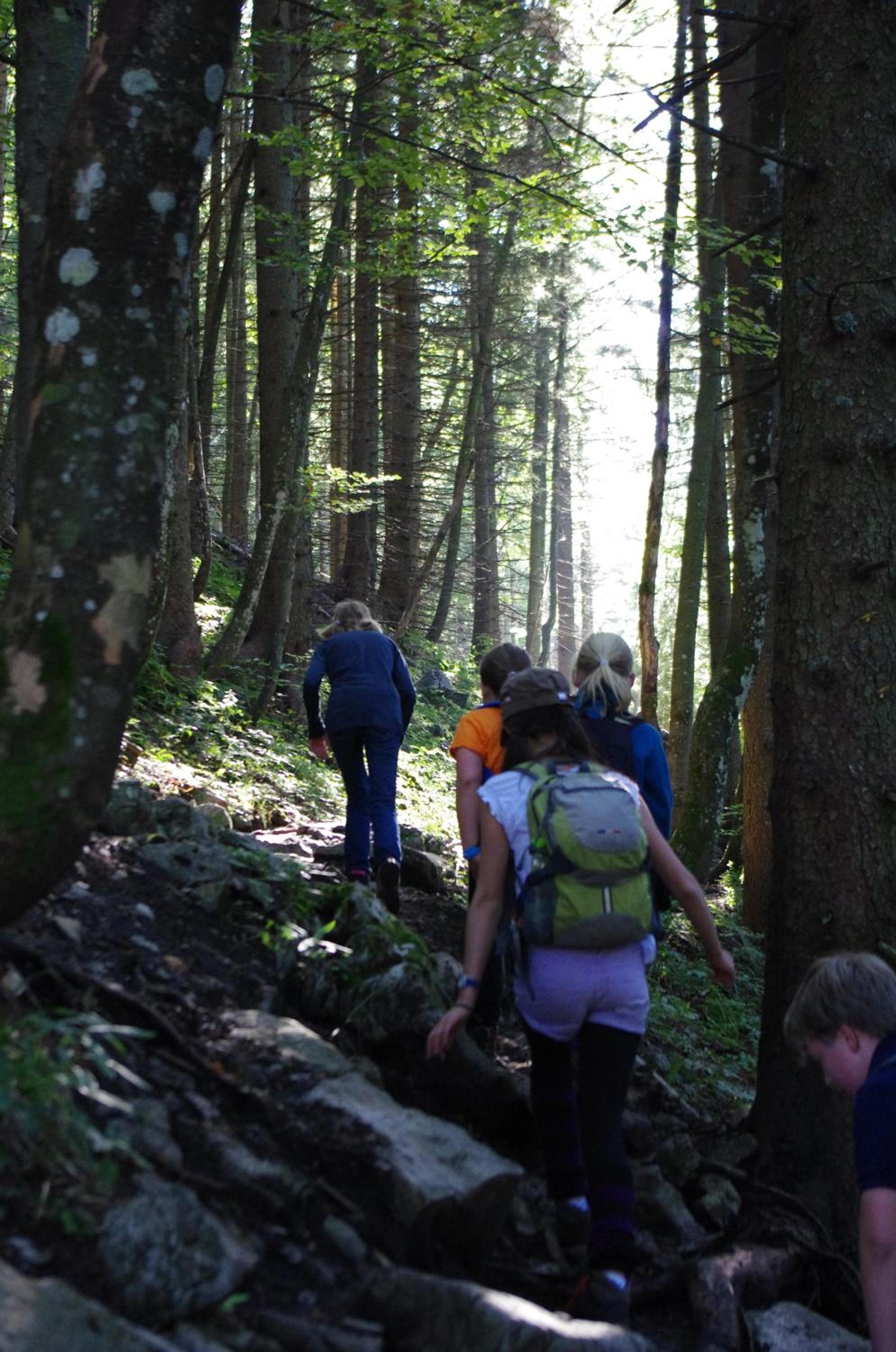 BLSV Sportcamp direkt am Kurvenlift!