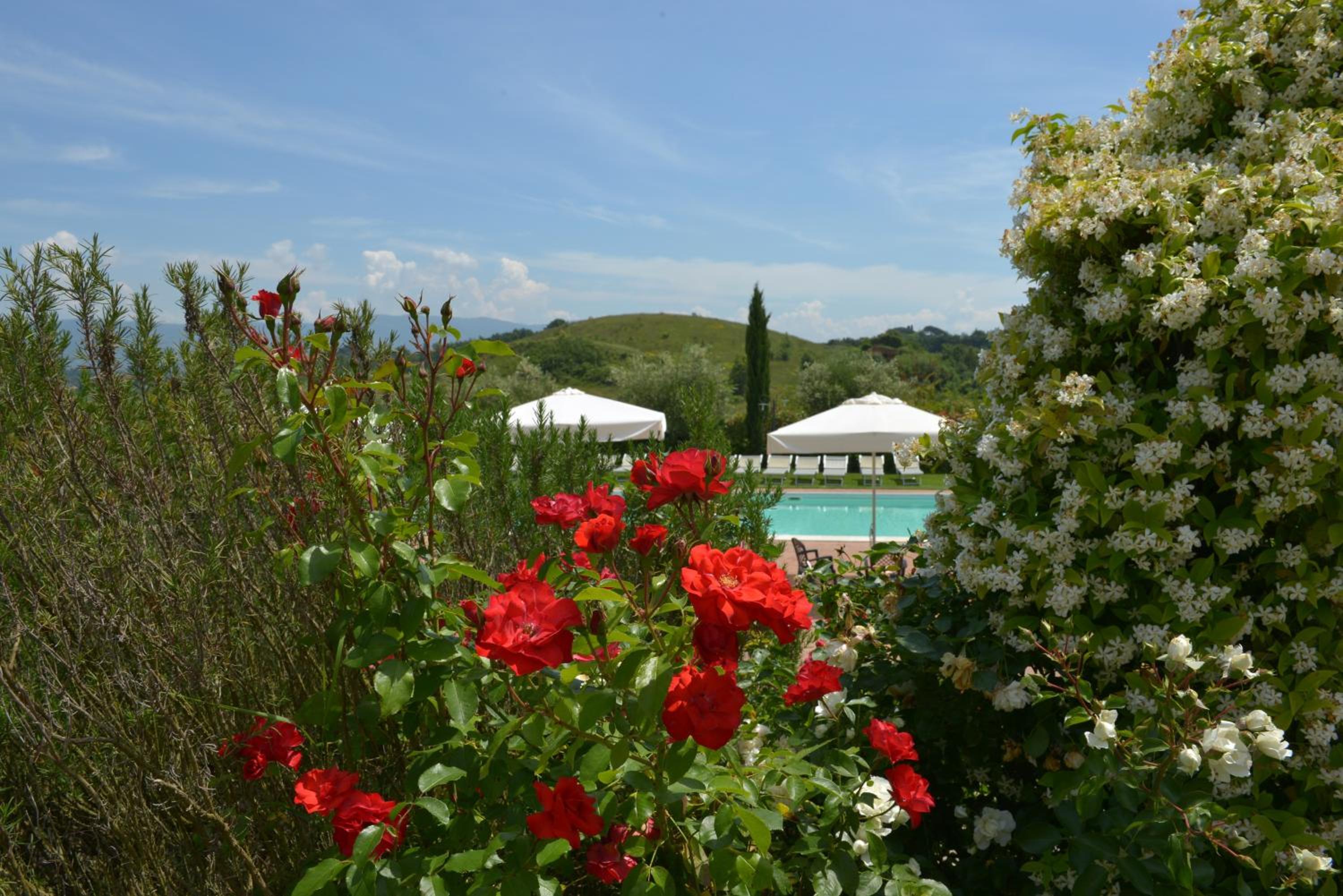 Agriturismo Musignano