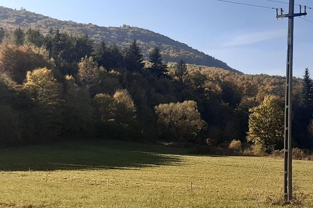 Casa de vacanta,, Seliana de Bucovina,, view 5