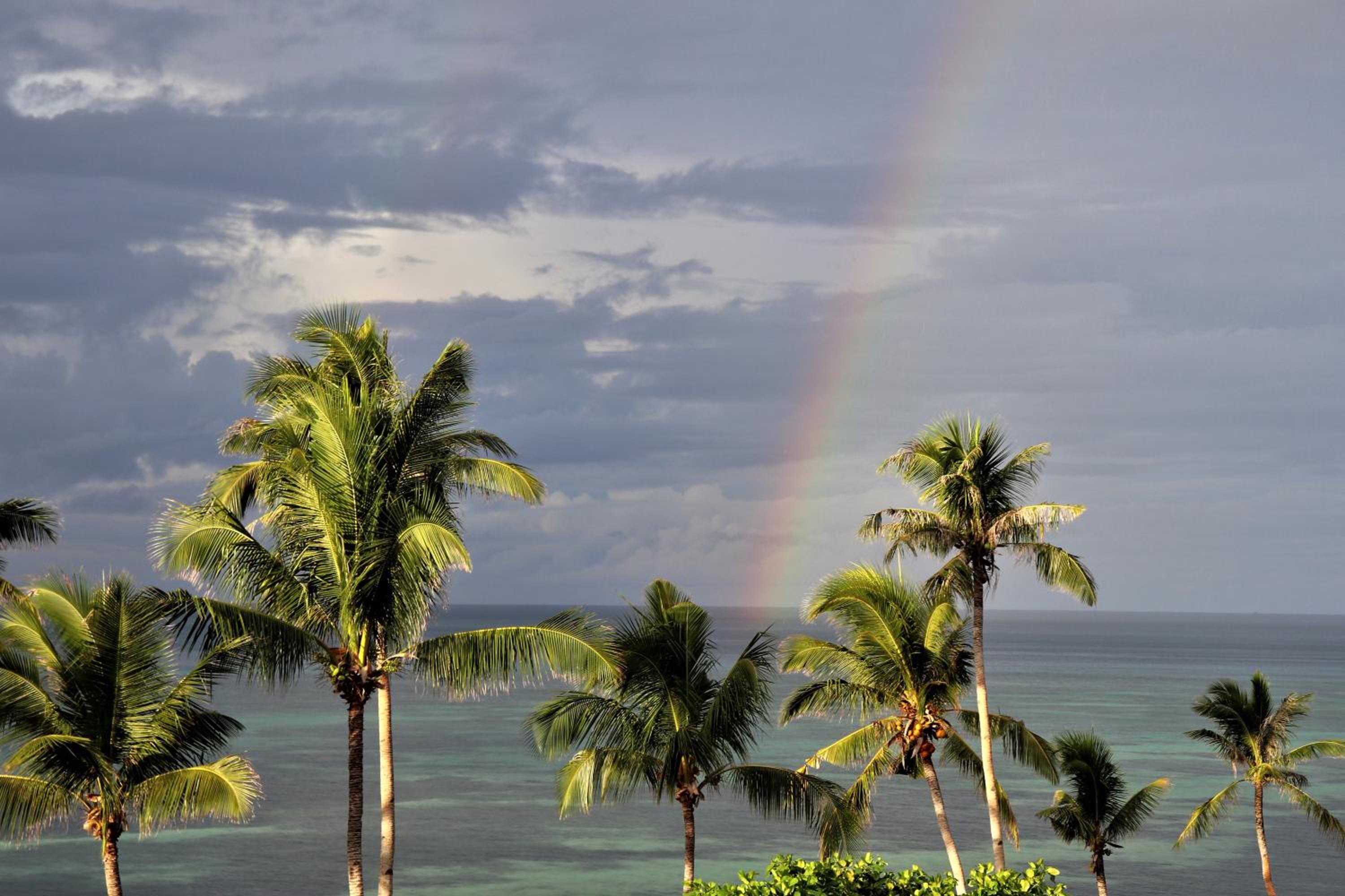 Island View Beachfront Resort