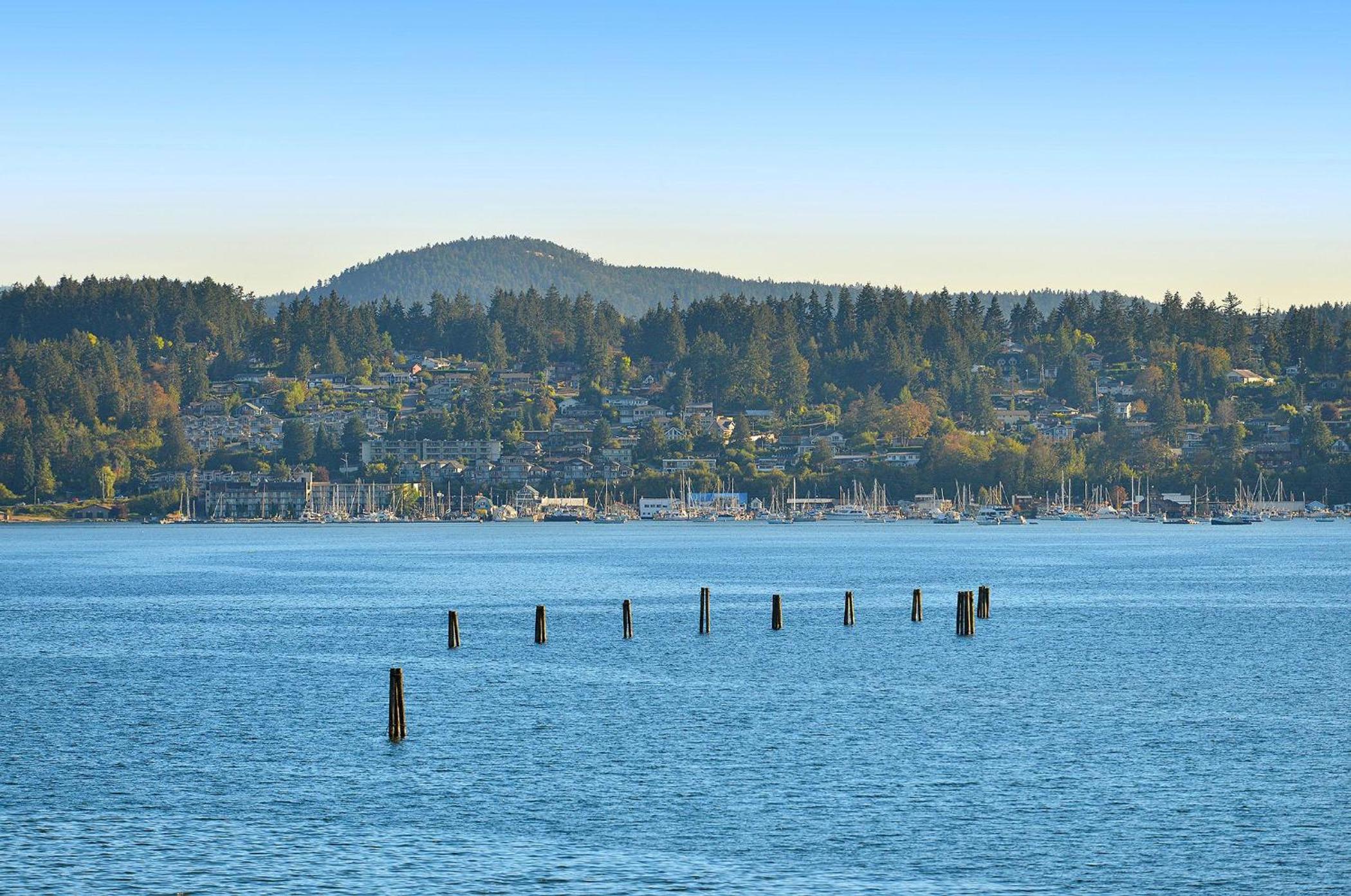 Salishan Tree House Suite by EMR Vacation Rentals