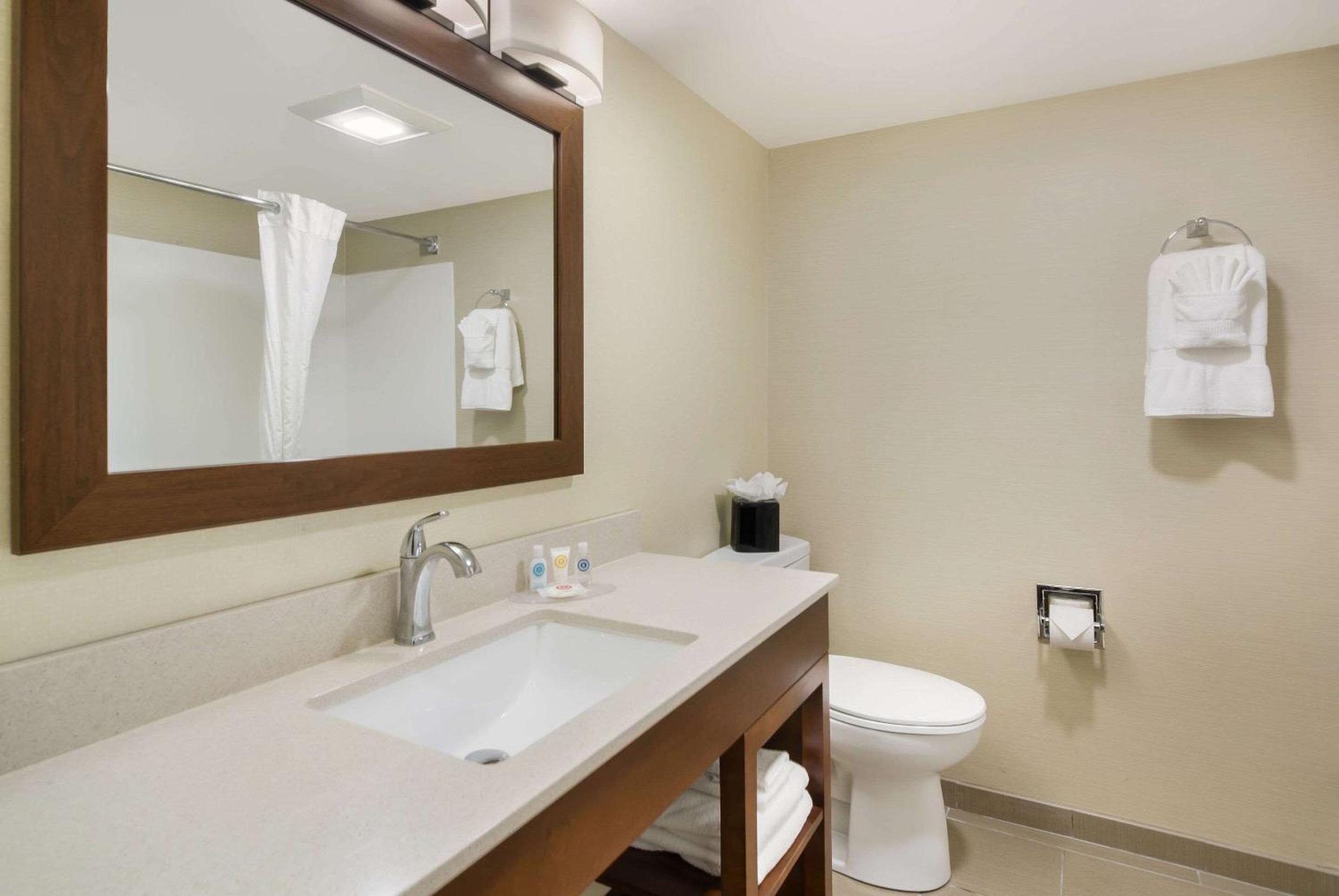 Comfort Inn Lexington Virginia Horse Center