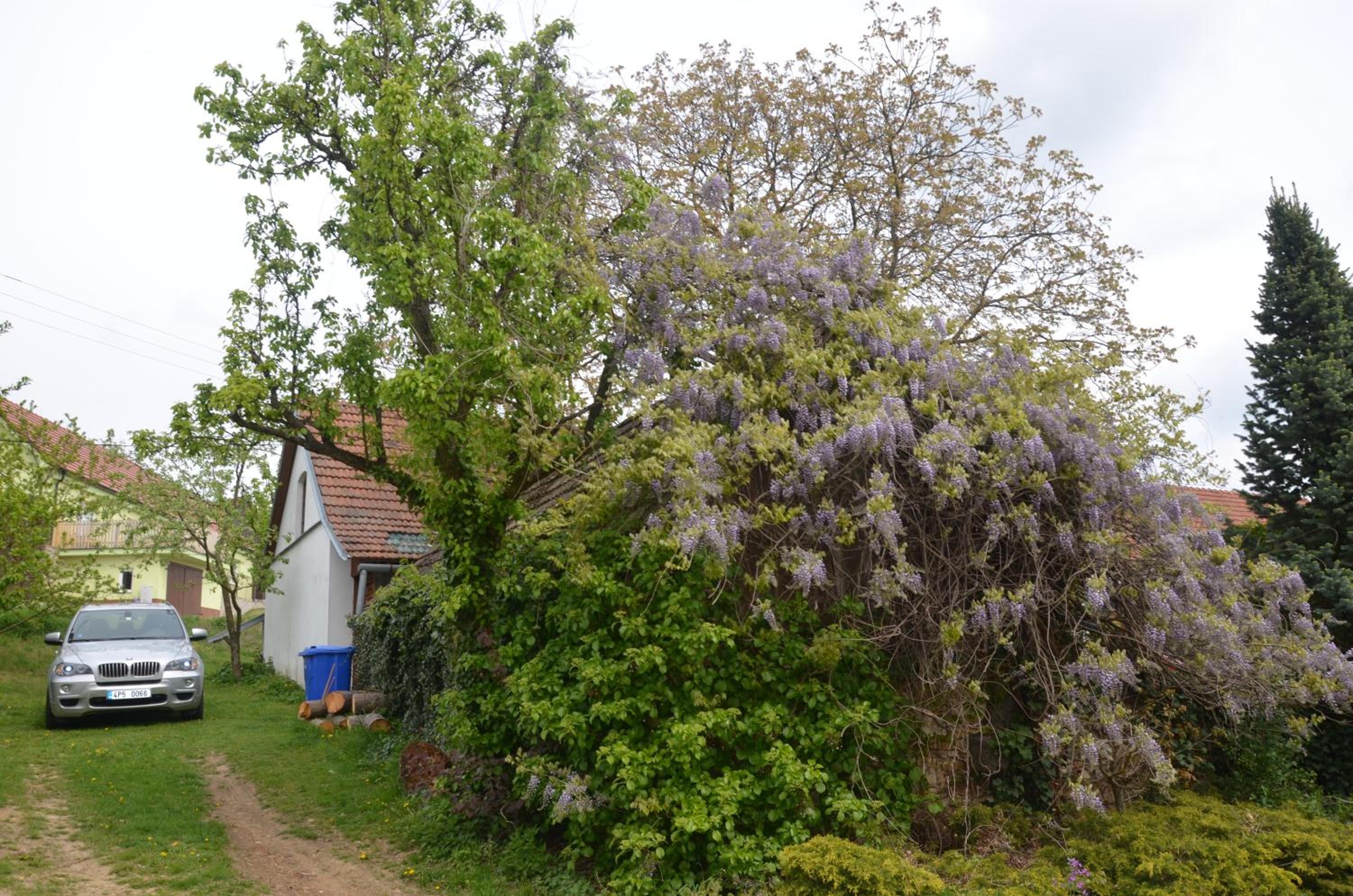 Holiday Home U Černých Ovcí