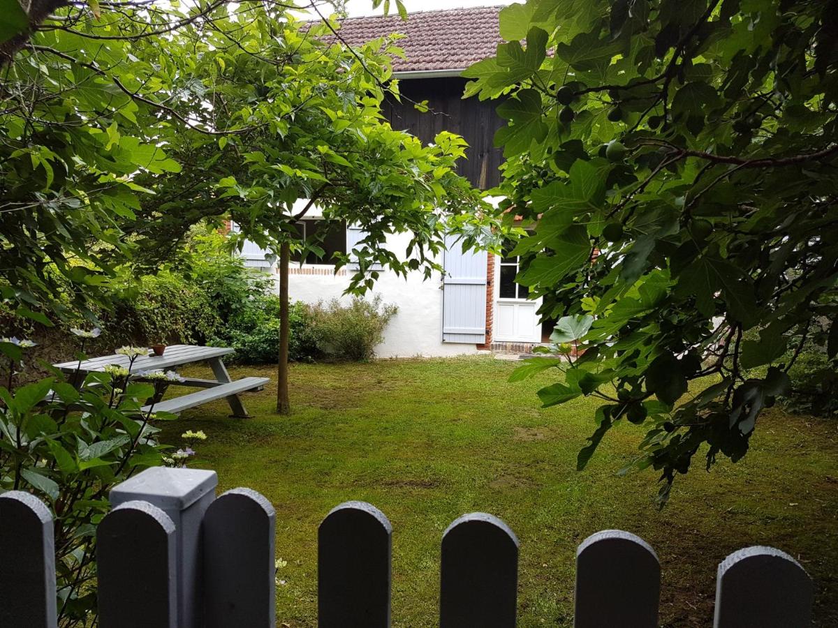 Photo 23