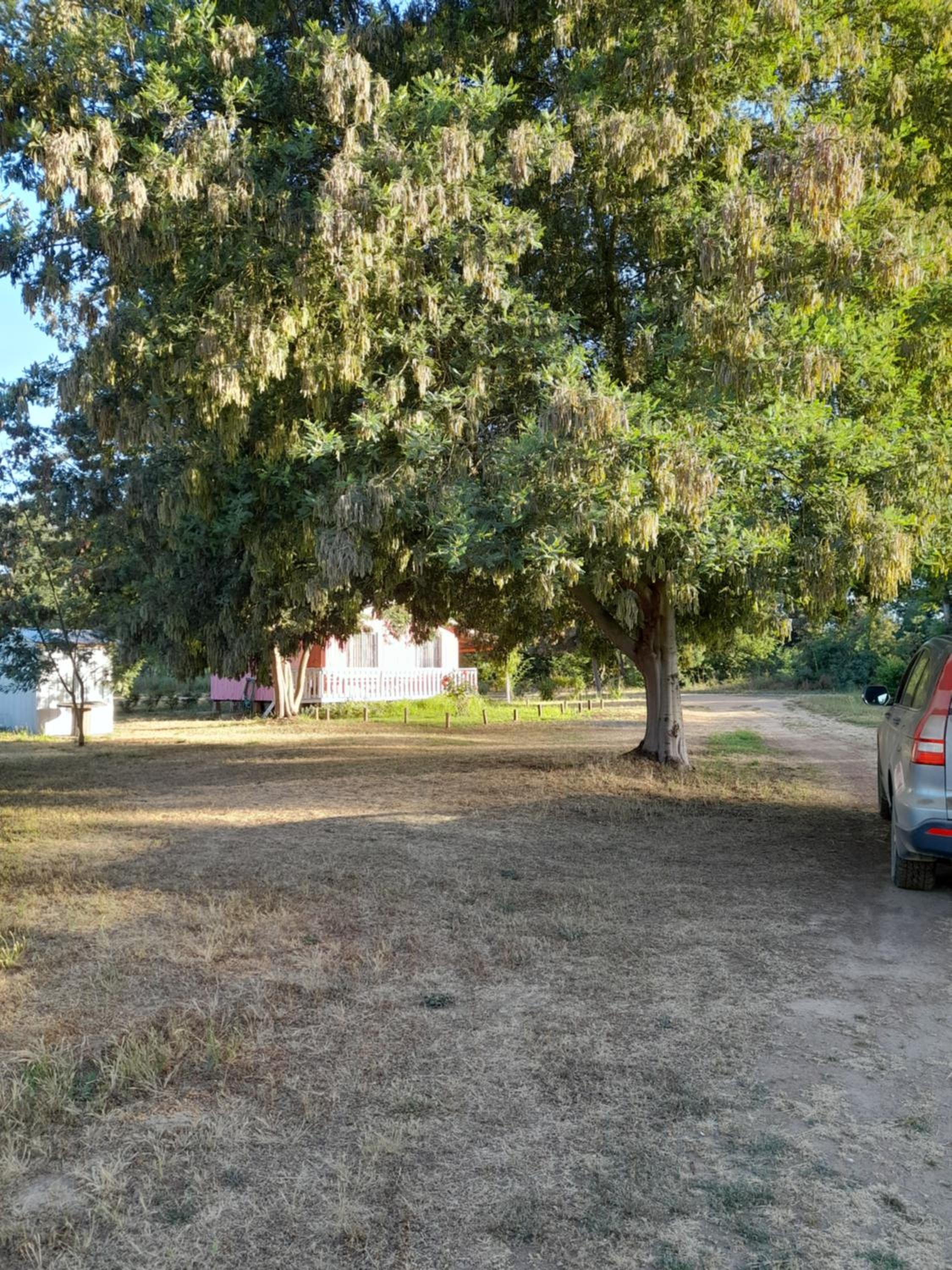 Photo 32