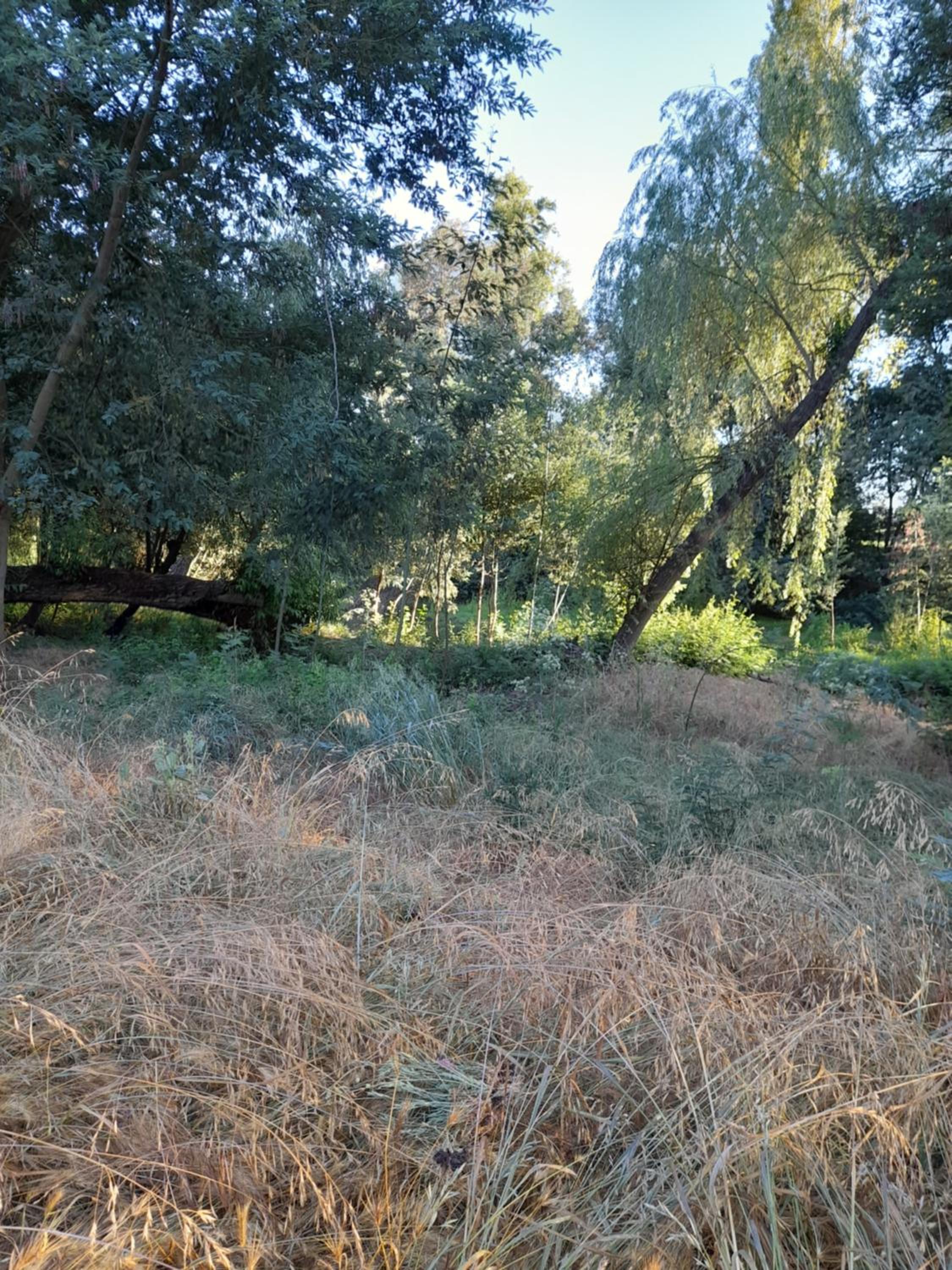 Photo 29