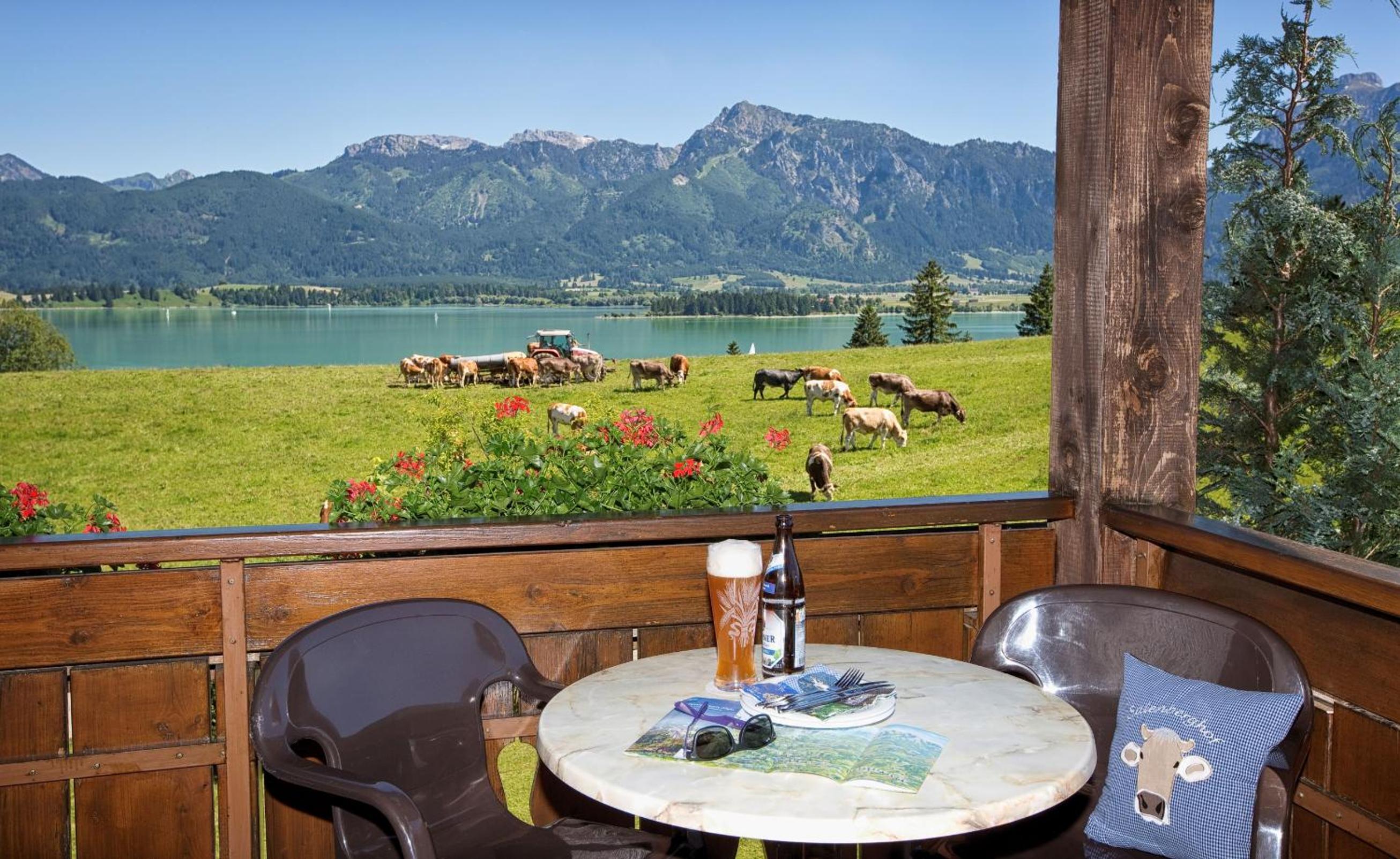 Salenberghof Ferienwohnung Panorama