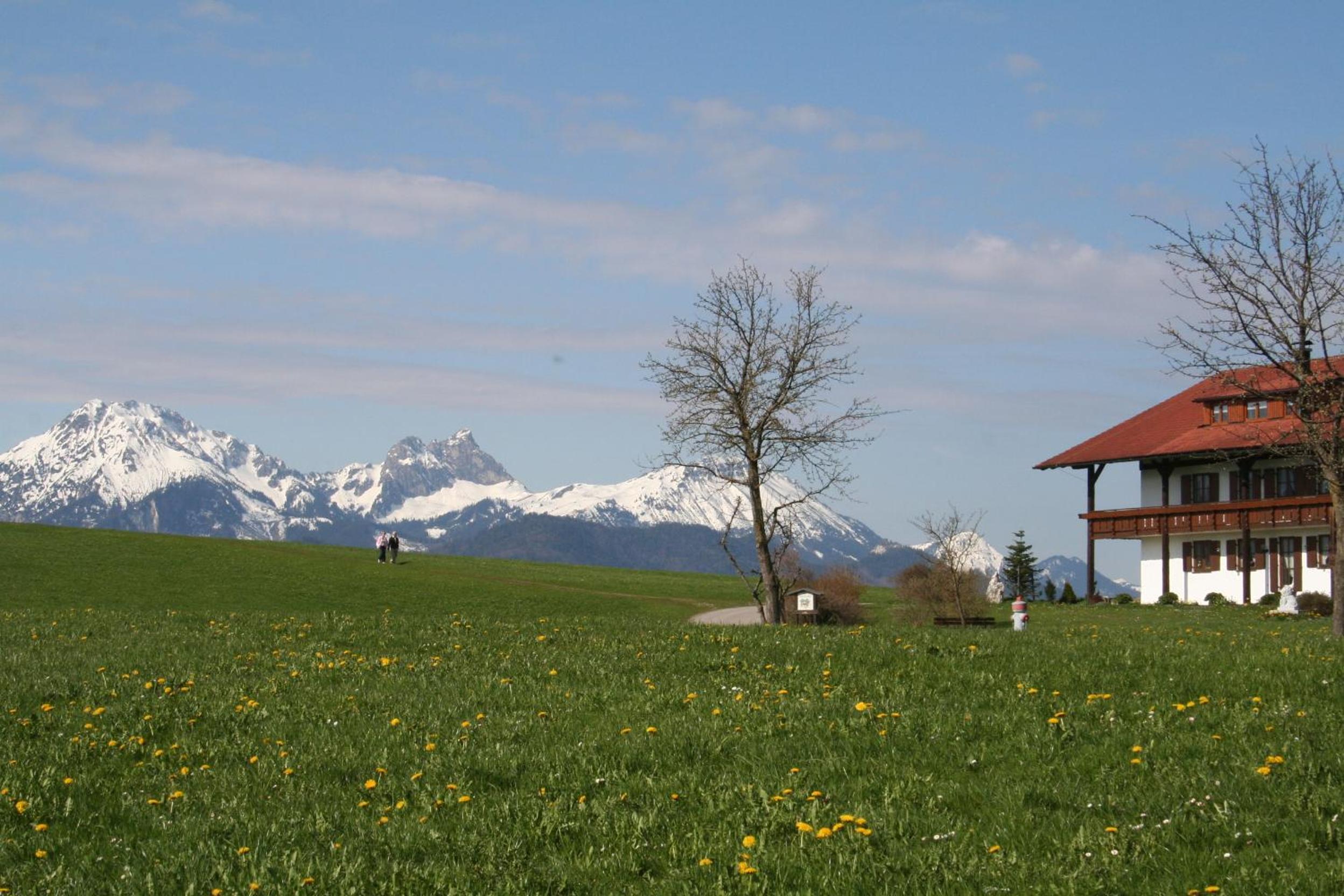 Salenberghof Ferienwohnung Panorama