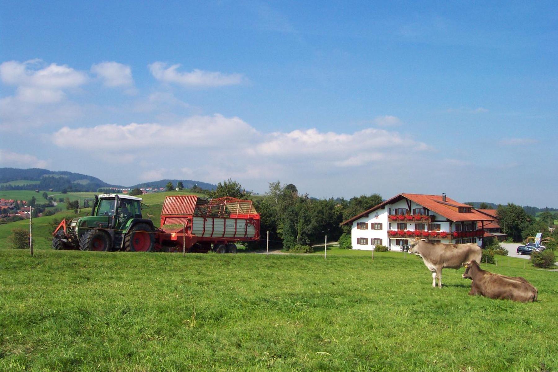 Salenberghof Ferienwohnung Panorama