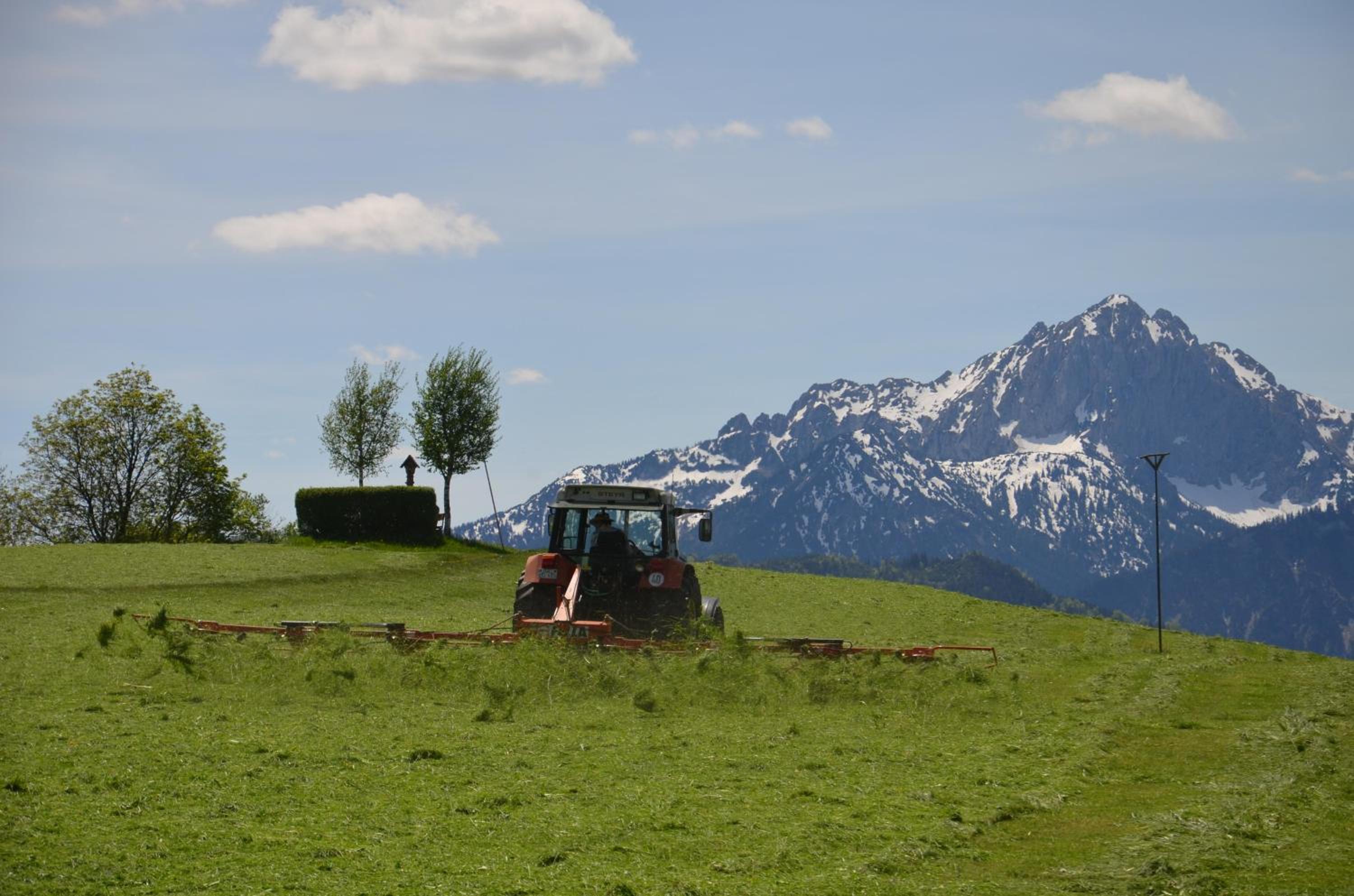 Salenberghof Ferienwohnung Panorama
