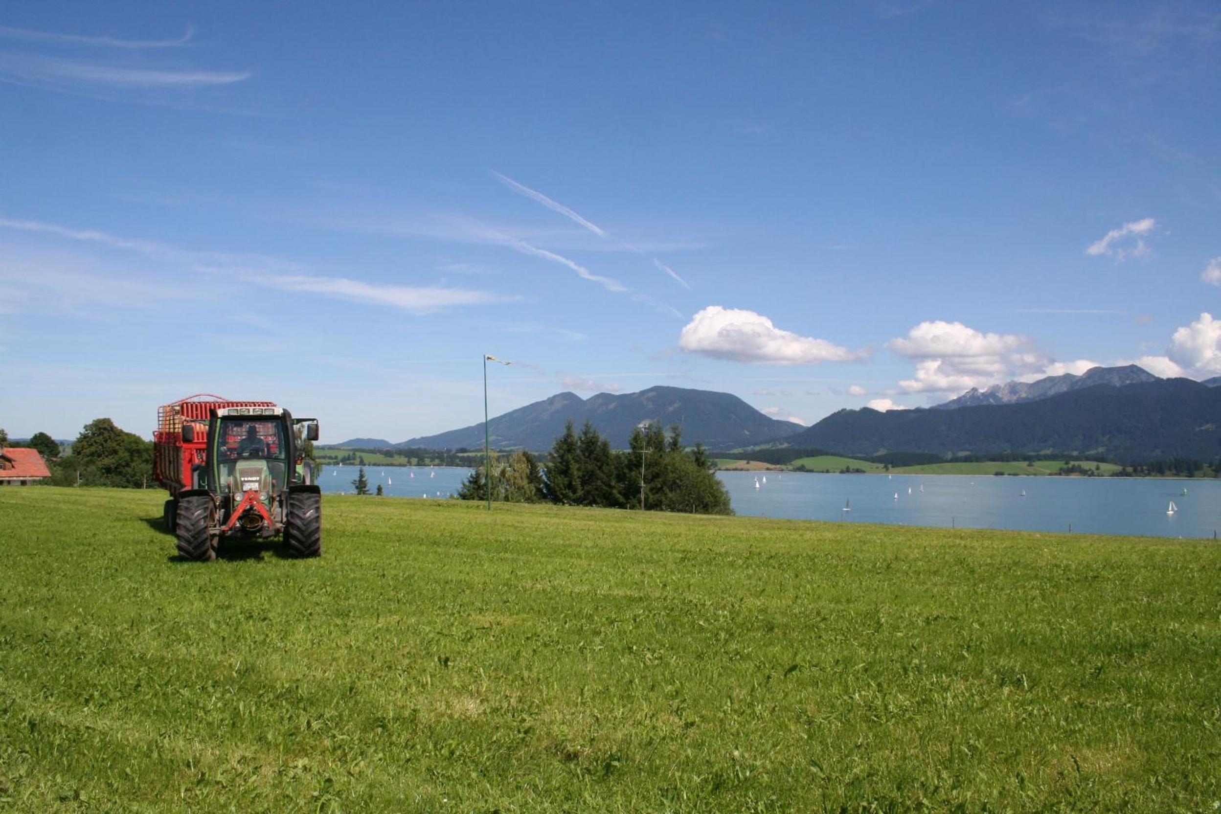 Salenberghof Ferienwohnung Panorama