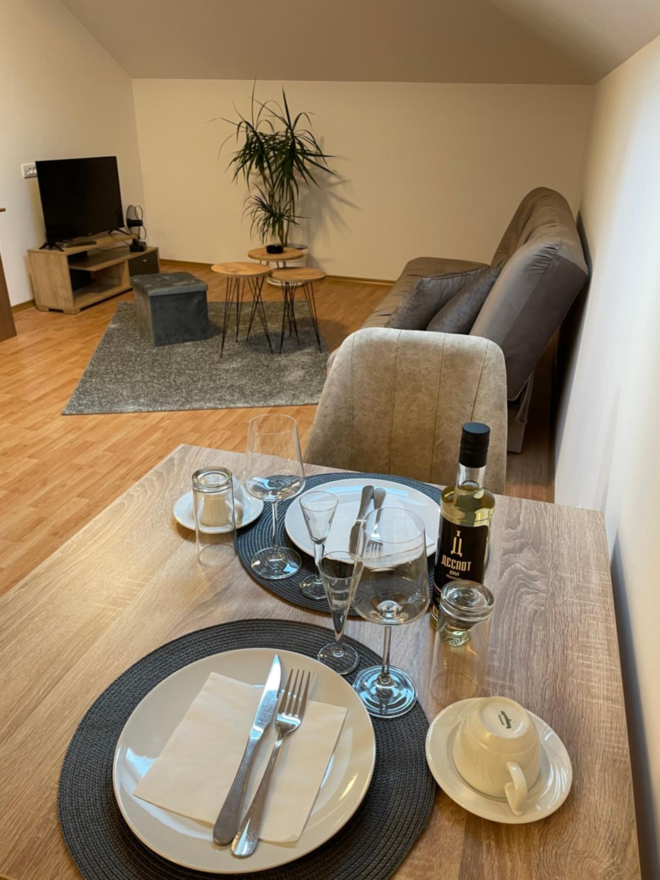 Despot apartmani view 3