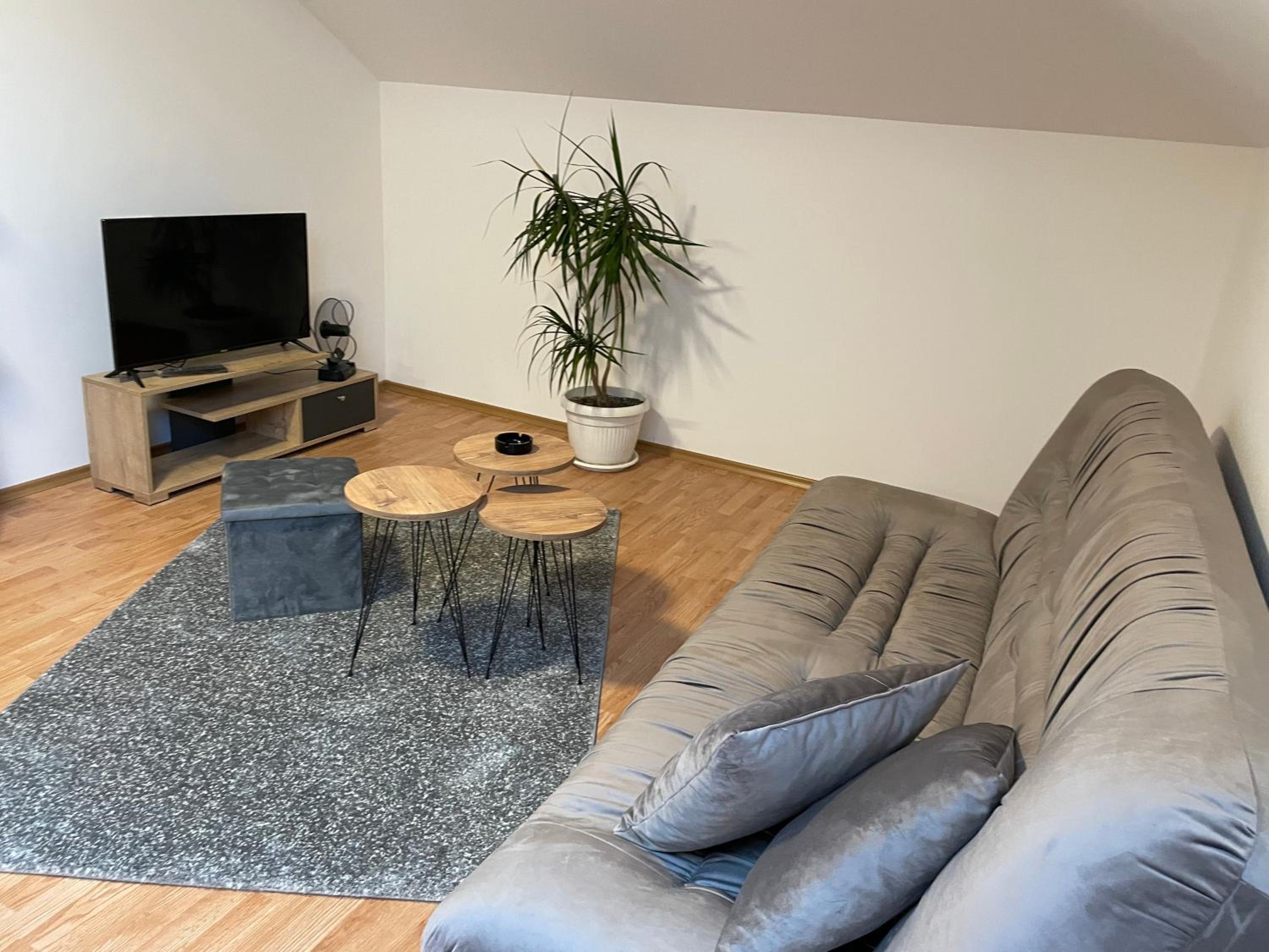 Despot apartmani view 2