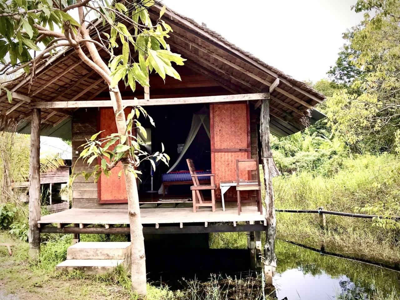 Frog Garden Hut view 2