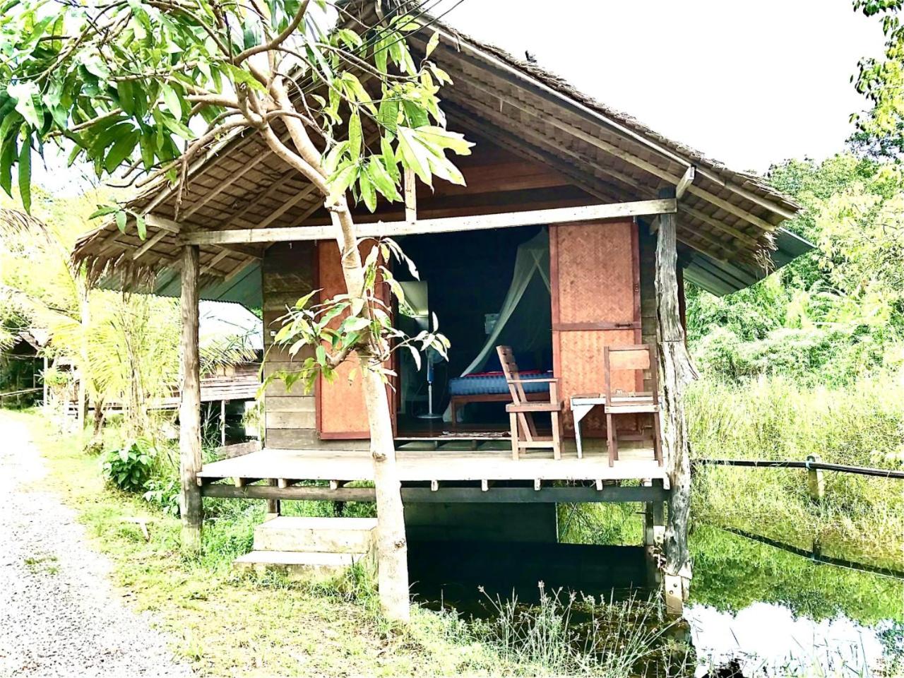 Frog Garden Hut view 4