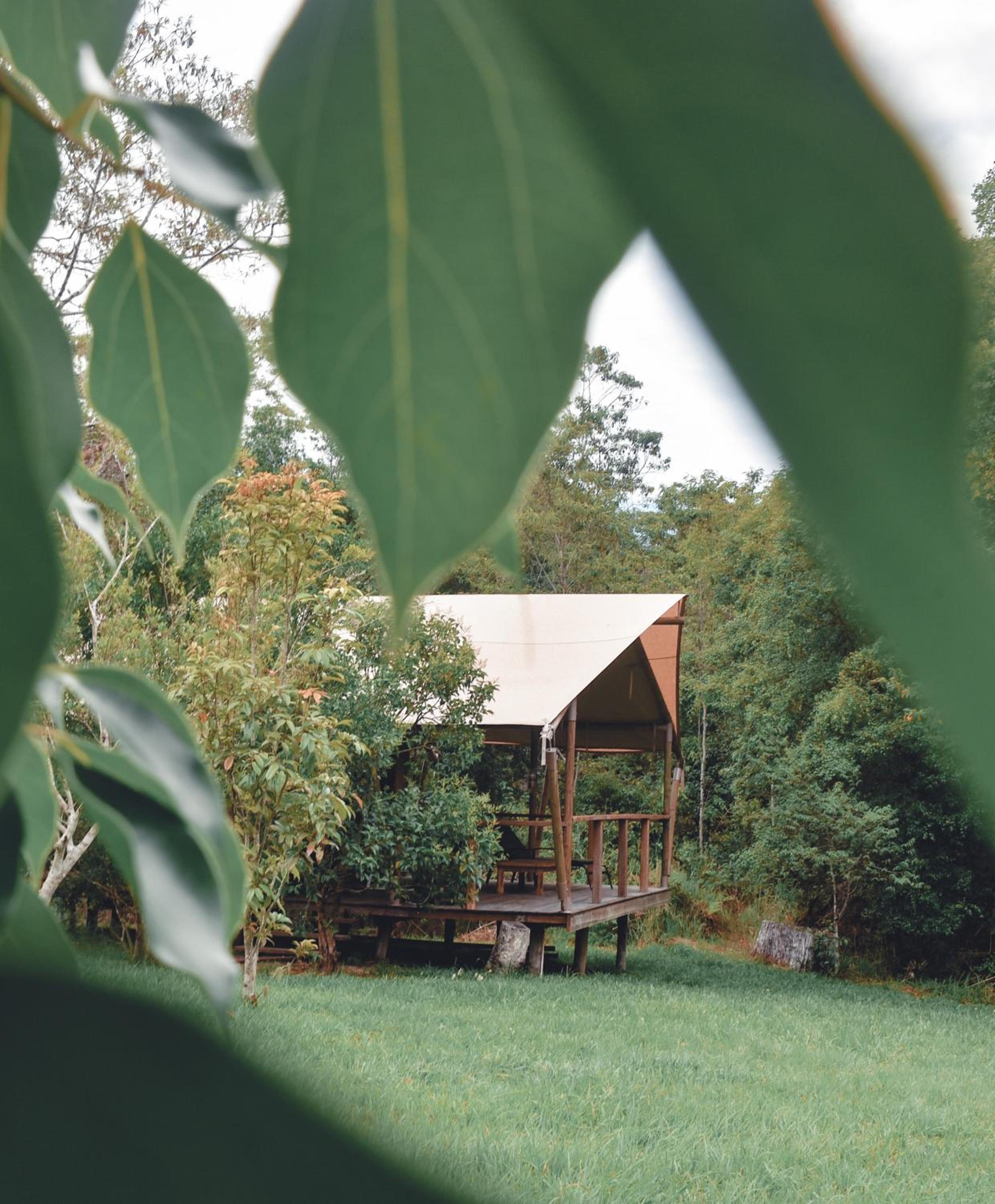 Silk Pavilions Glamping