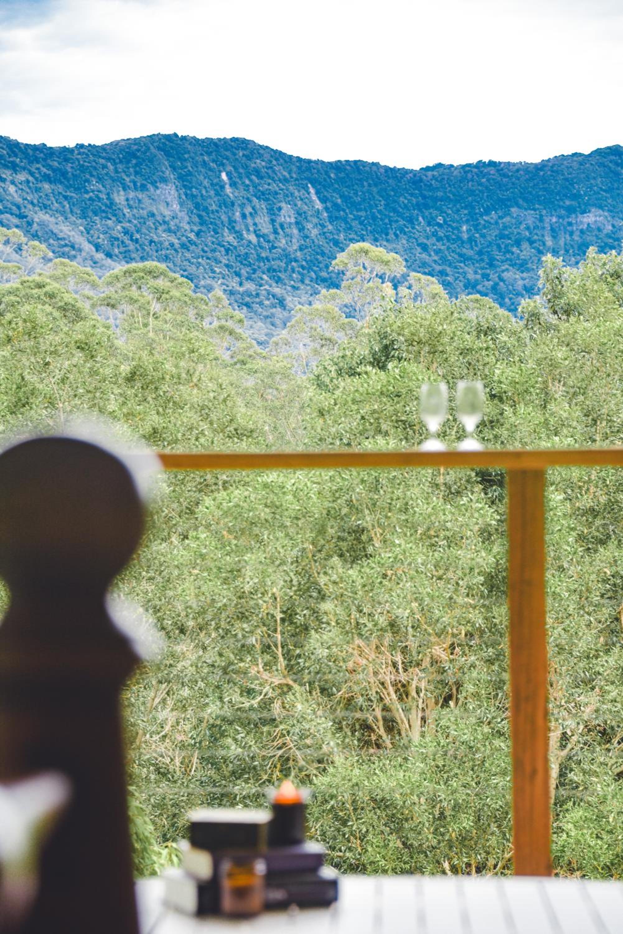 Silk Pavilions Glamping