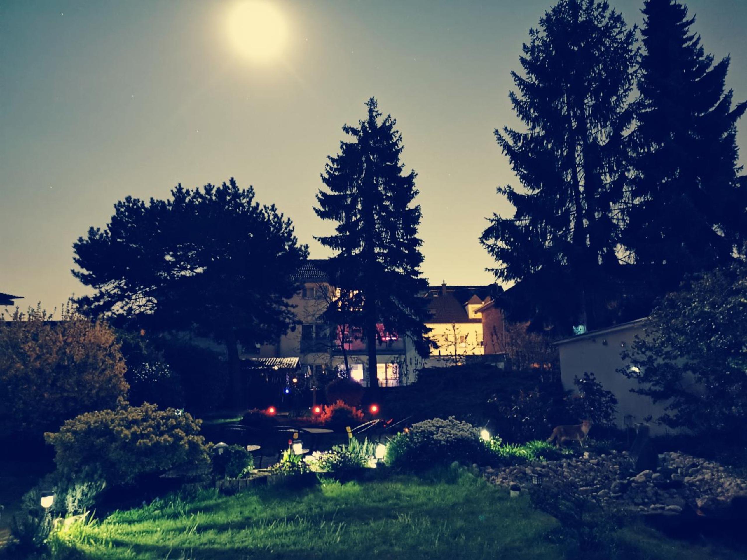 Home Inn Hotel