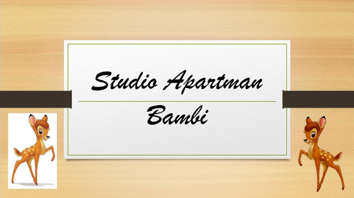 Studio Apartman Bambi