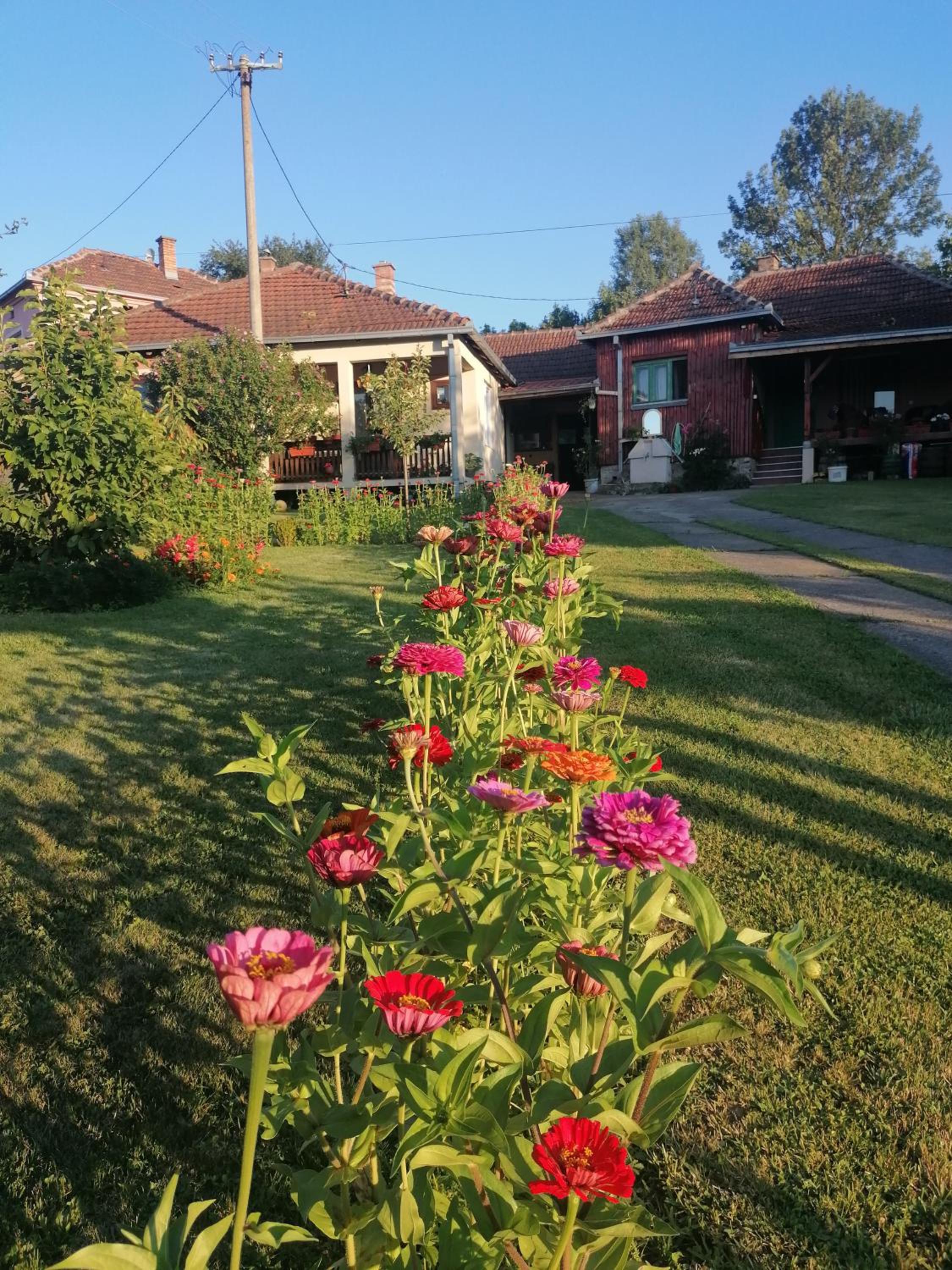 Markov konak view 4