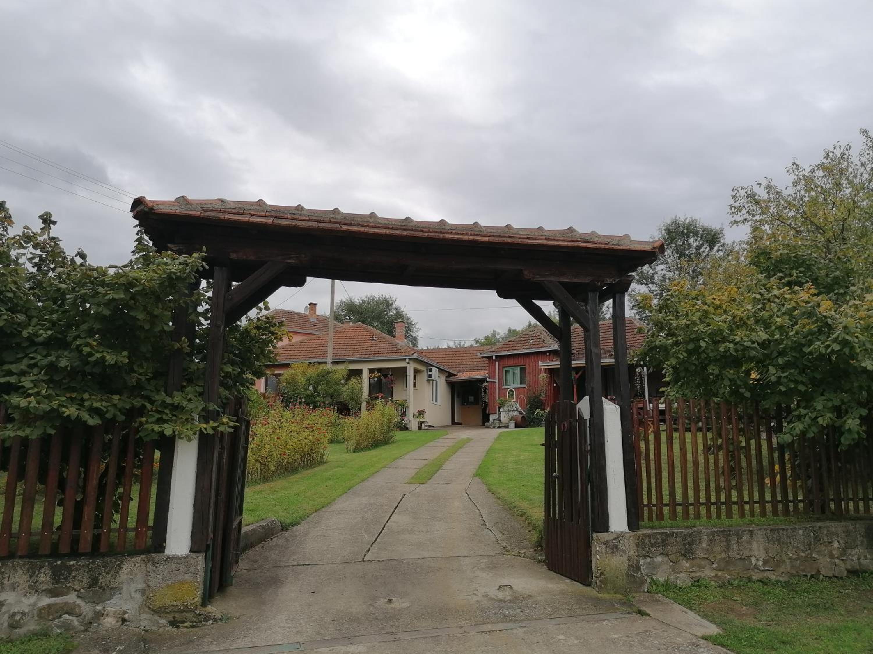 Photo 12