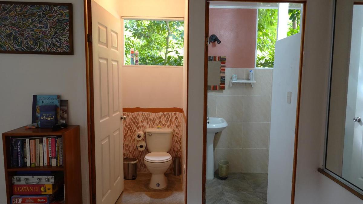 Osa de Rio