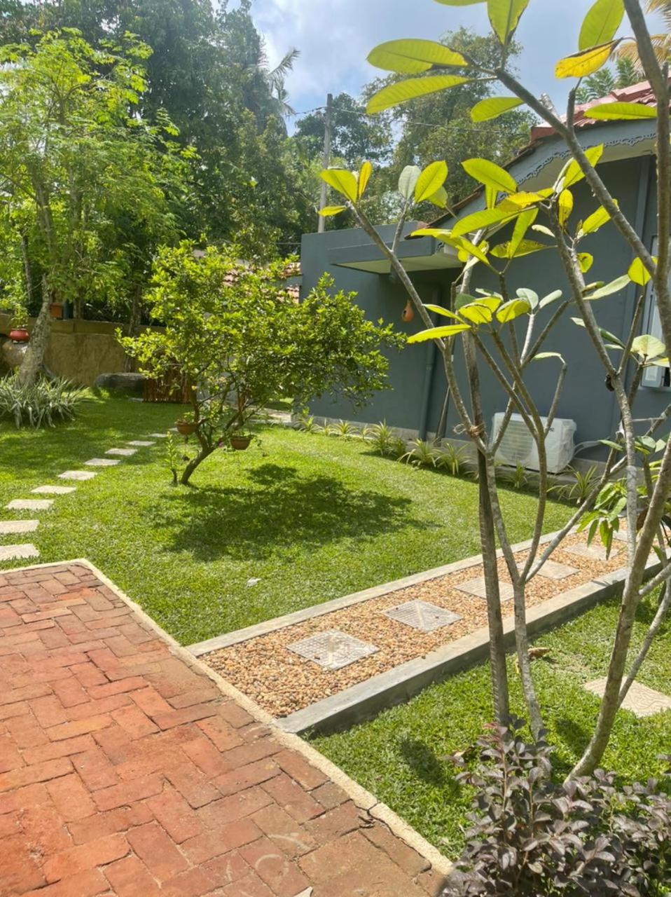 Photo 45