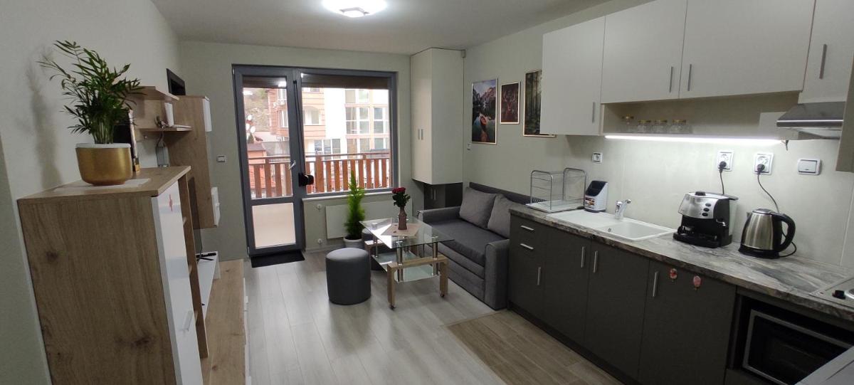 Hotel Guest Apartment Tanya - Image 1