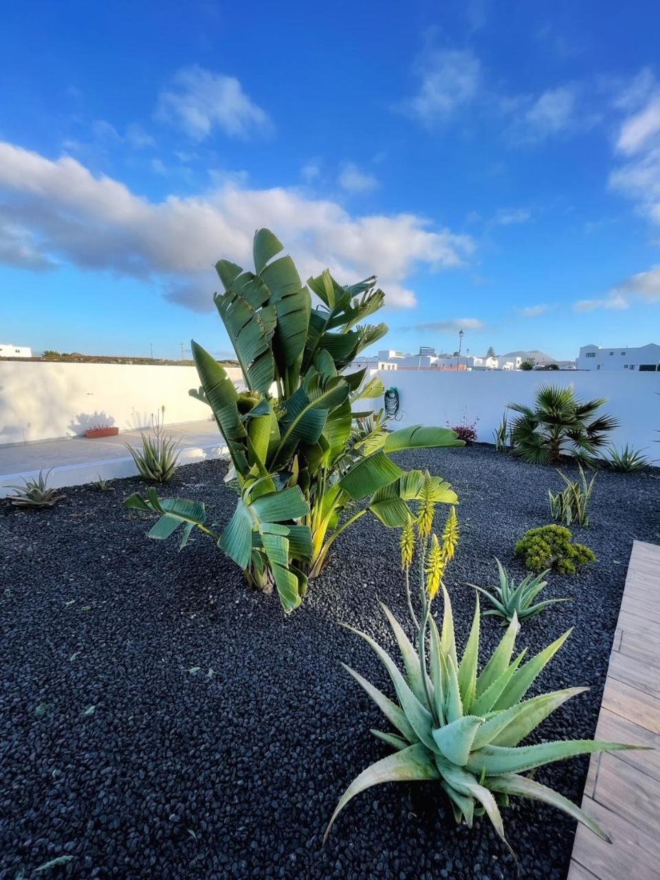 Azur Arts Lanzarote Lofts