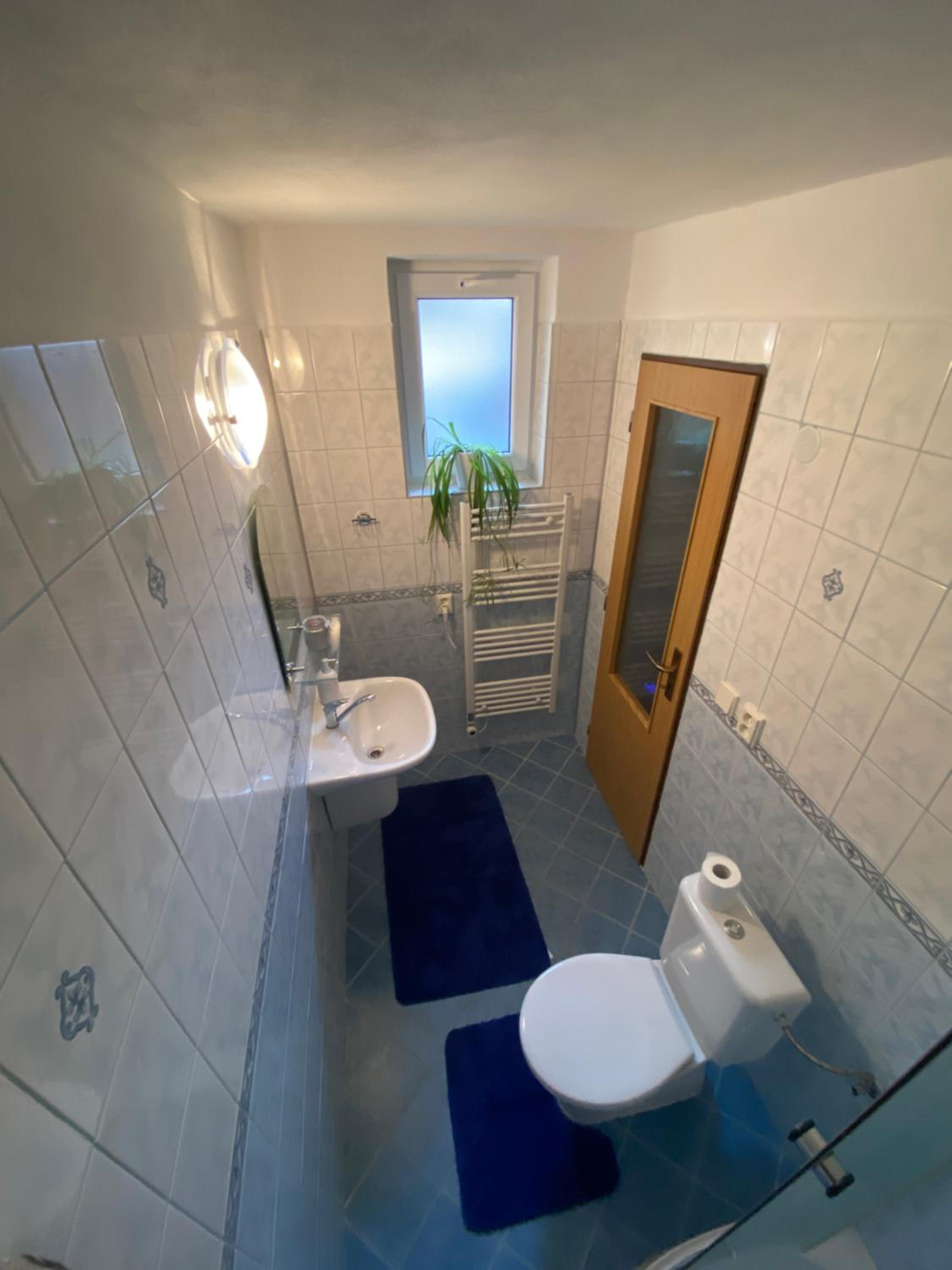 Privat Tília view 2