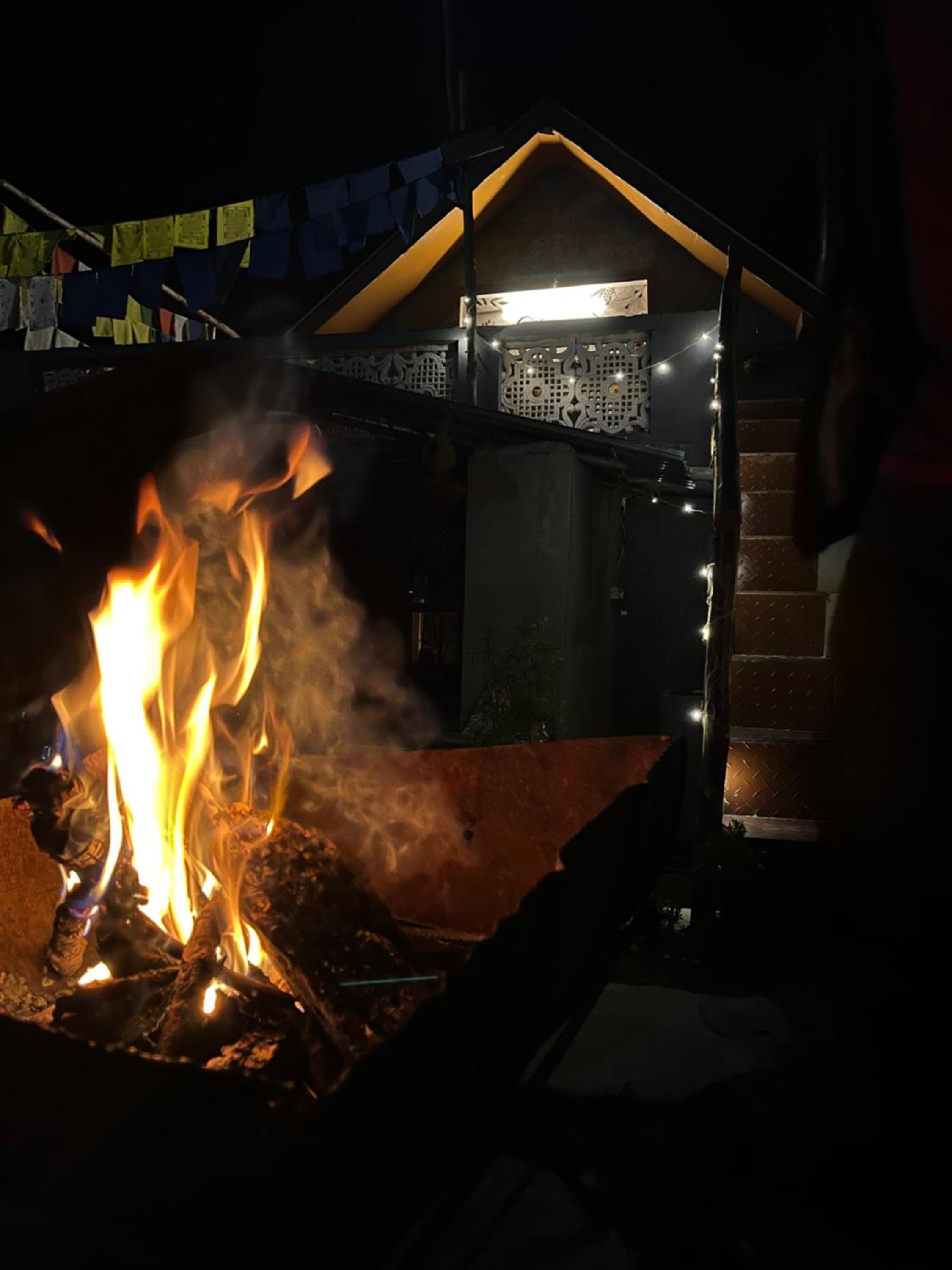 Photo 41